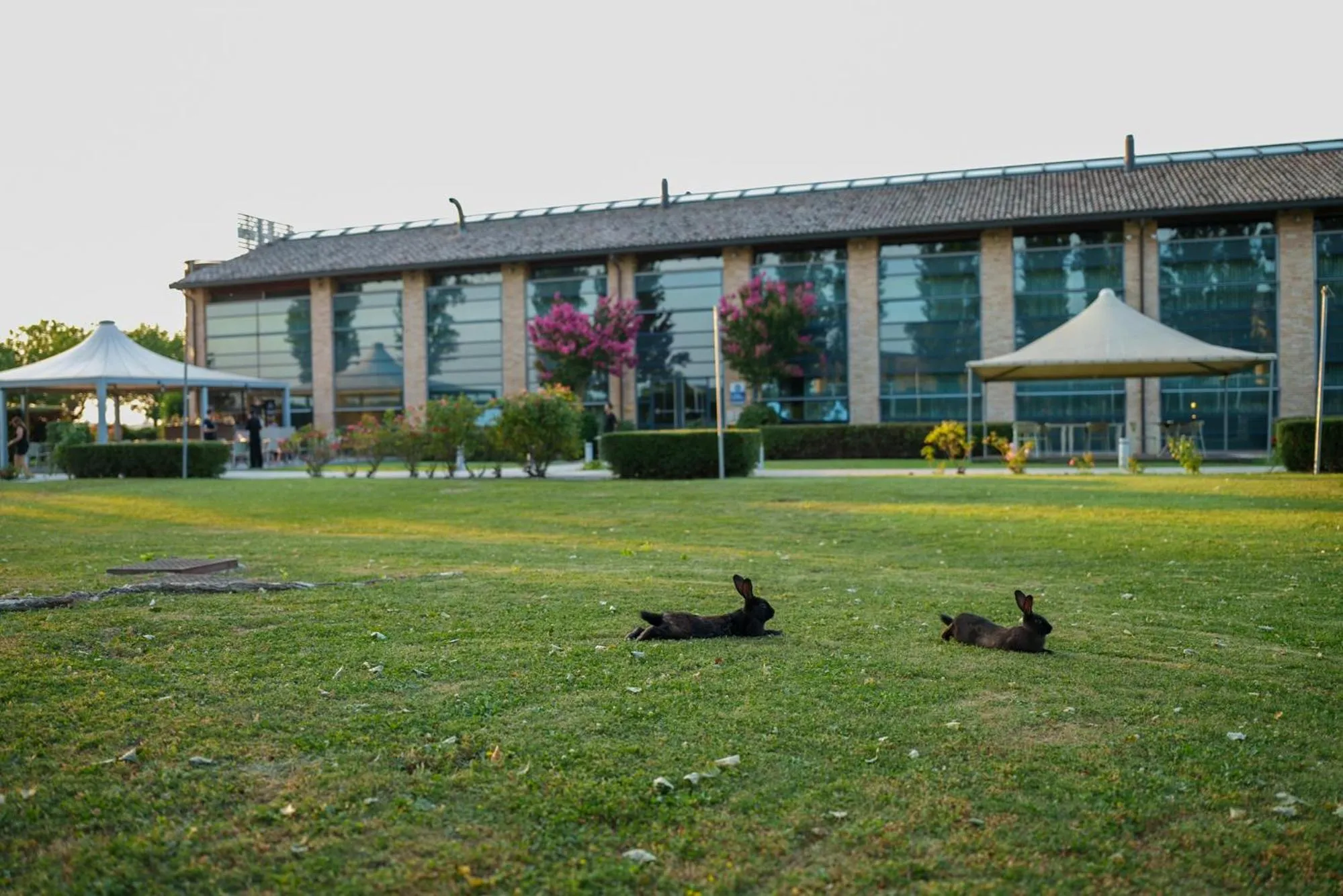 Garden in Best Western Hotel Green City