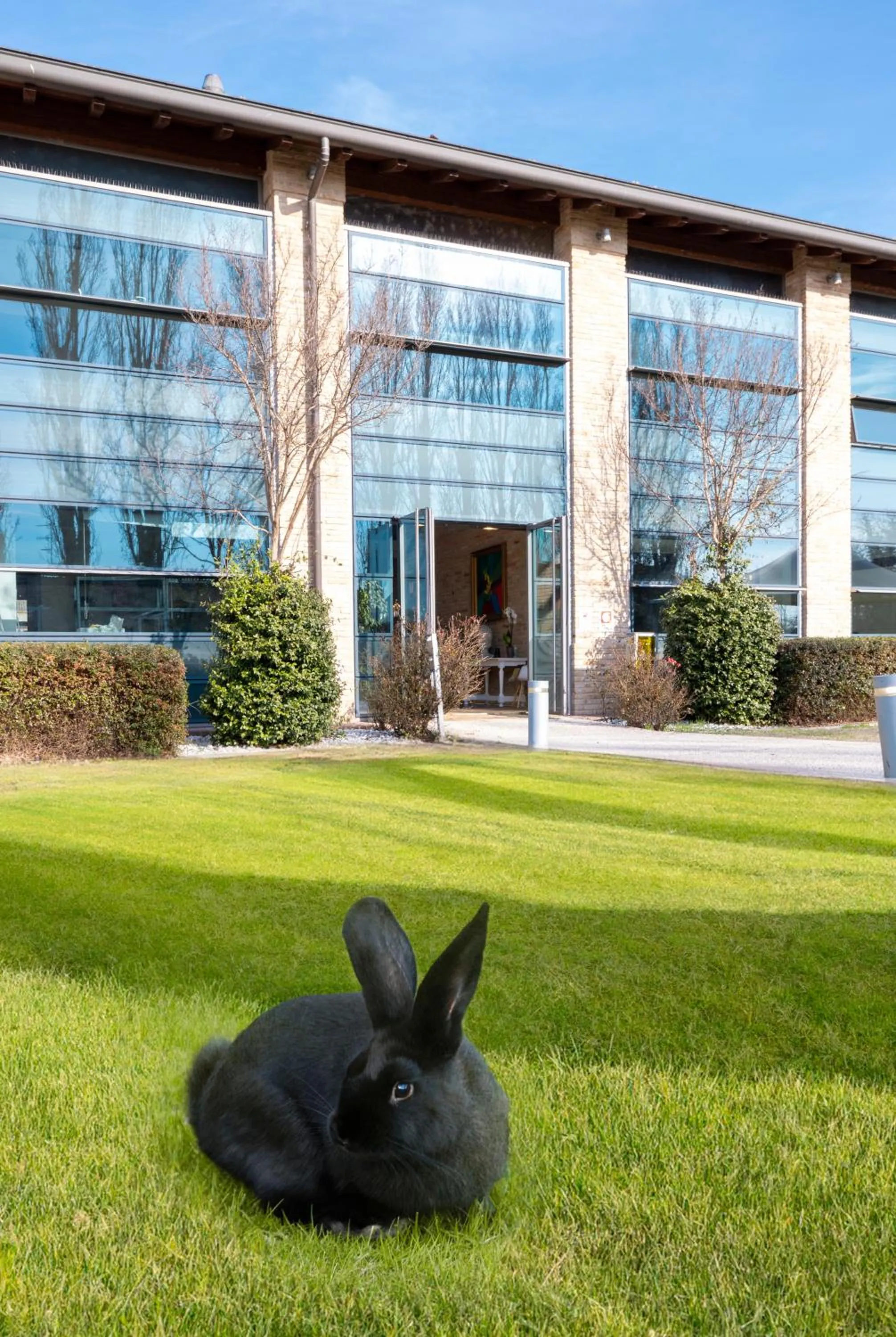 Property building in Best Western Hotel Green City