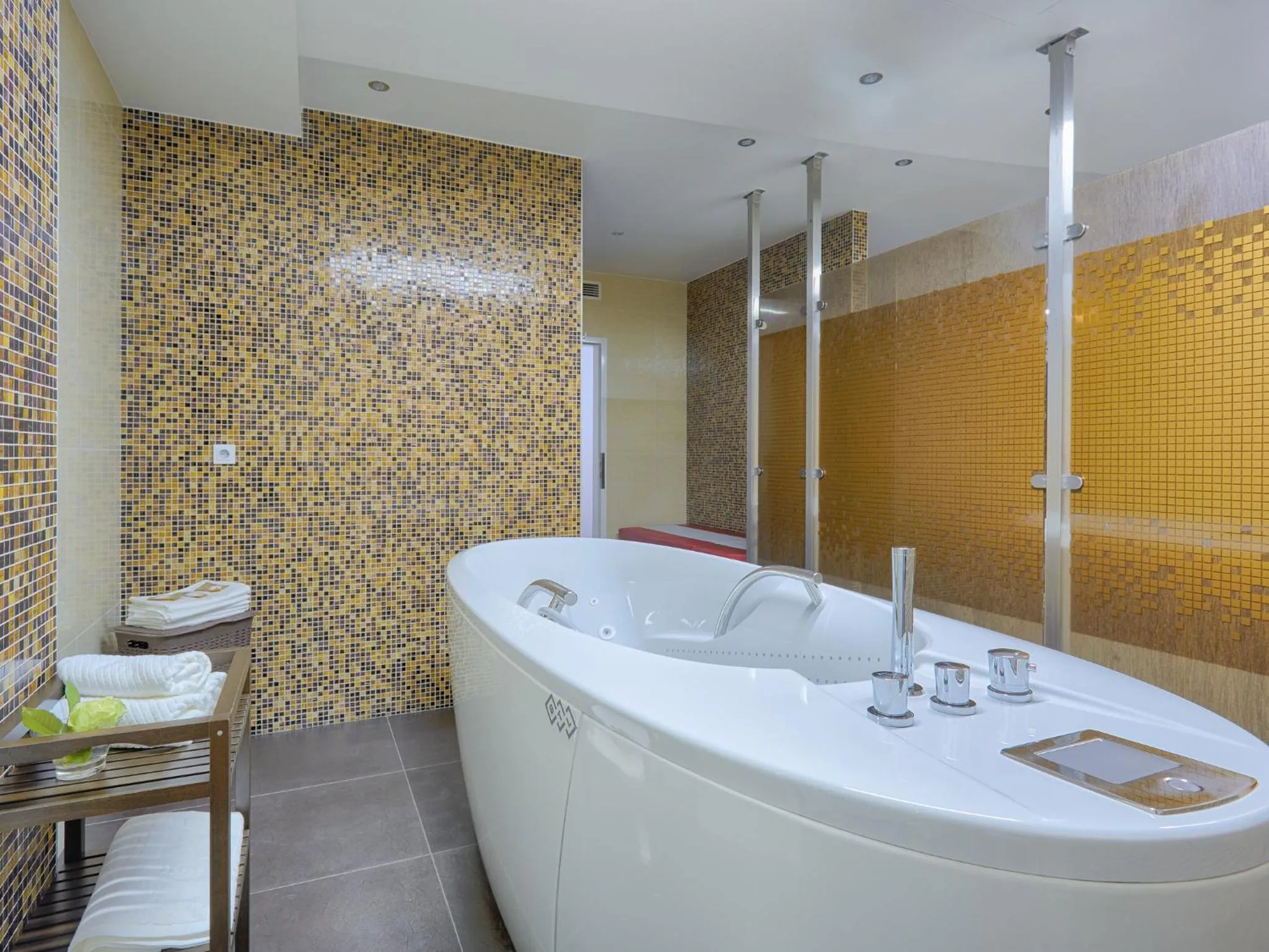 Spa and wellness centre/facilities in Spa Hotel Iris