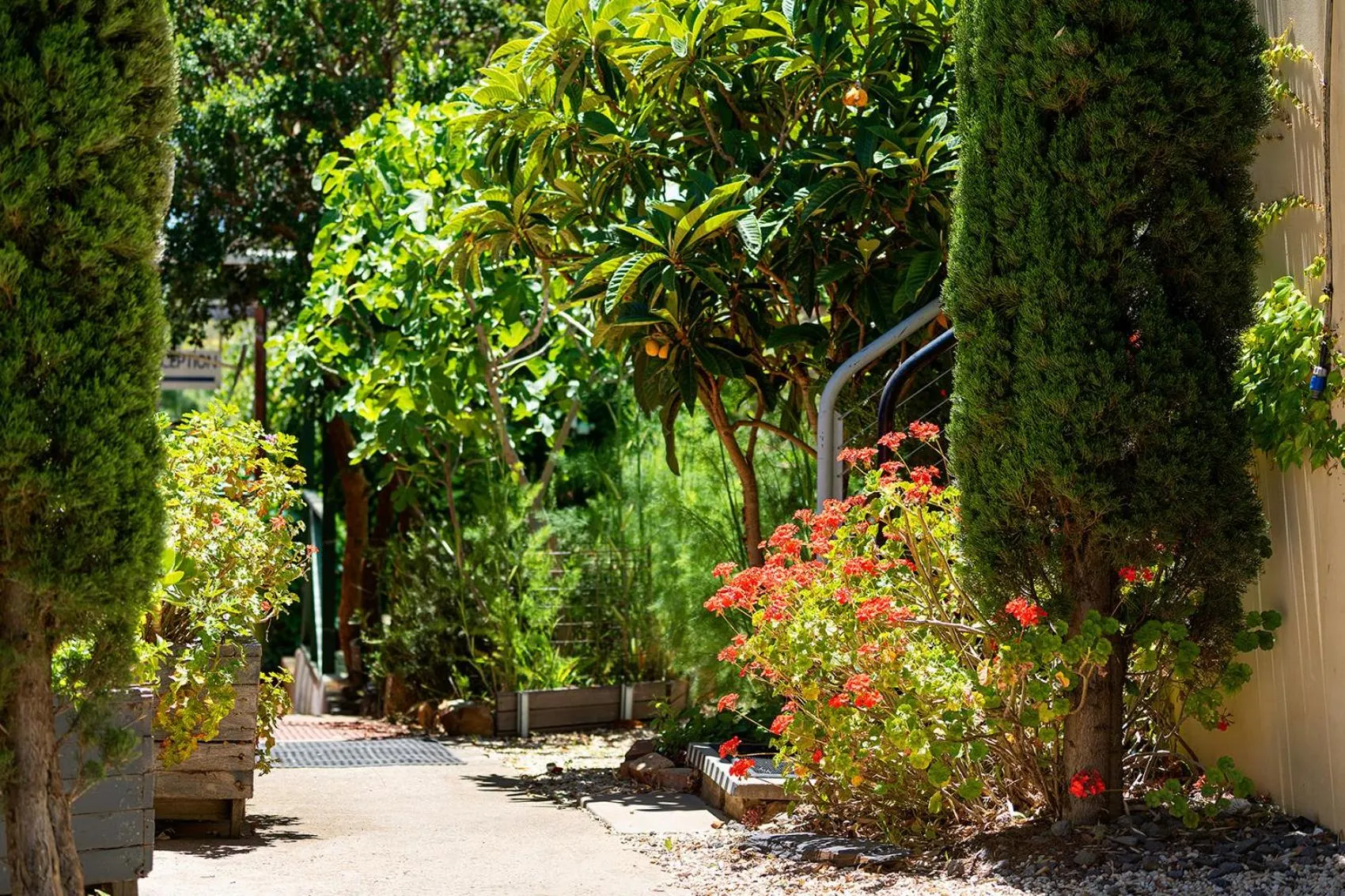 Garden in The Albion Motel Castlemaine