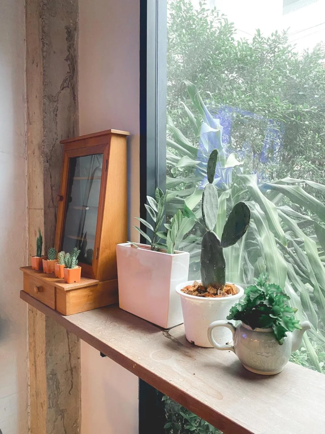 Garden in Give Me 5 Hostel