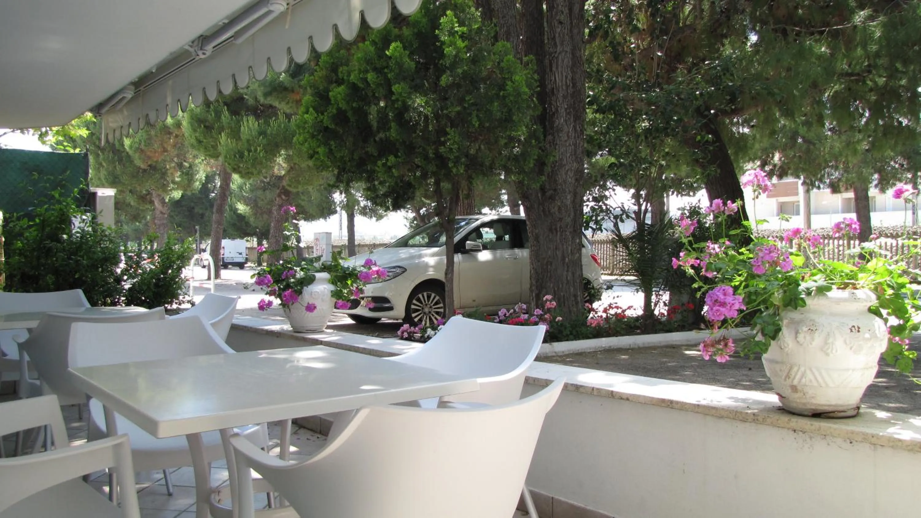 Area and facilities in Hotel Lanterna