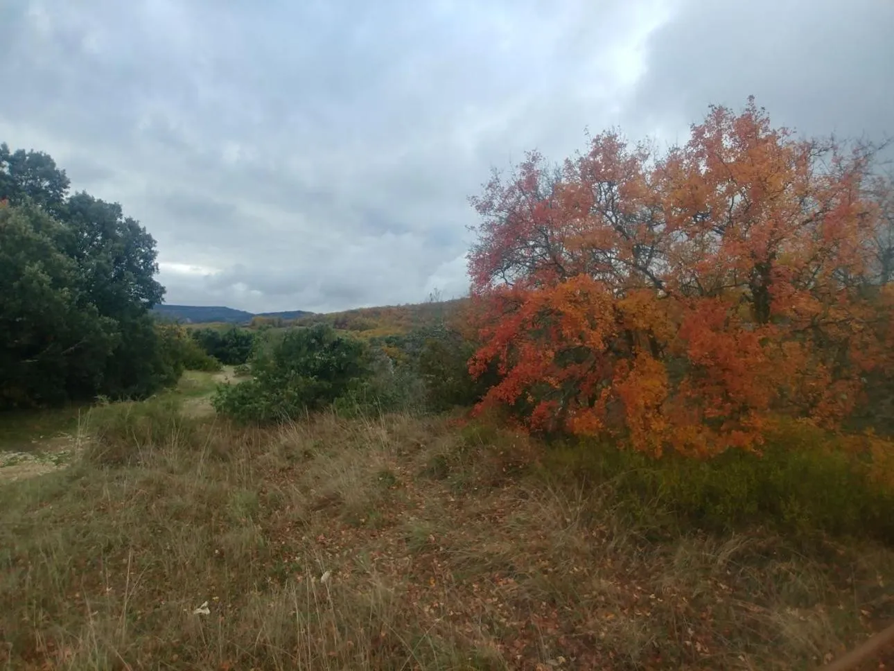 Natural landscape in L'Aiguebelle