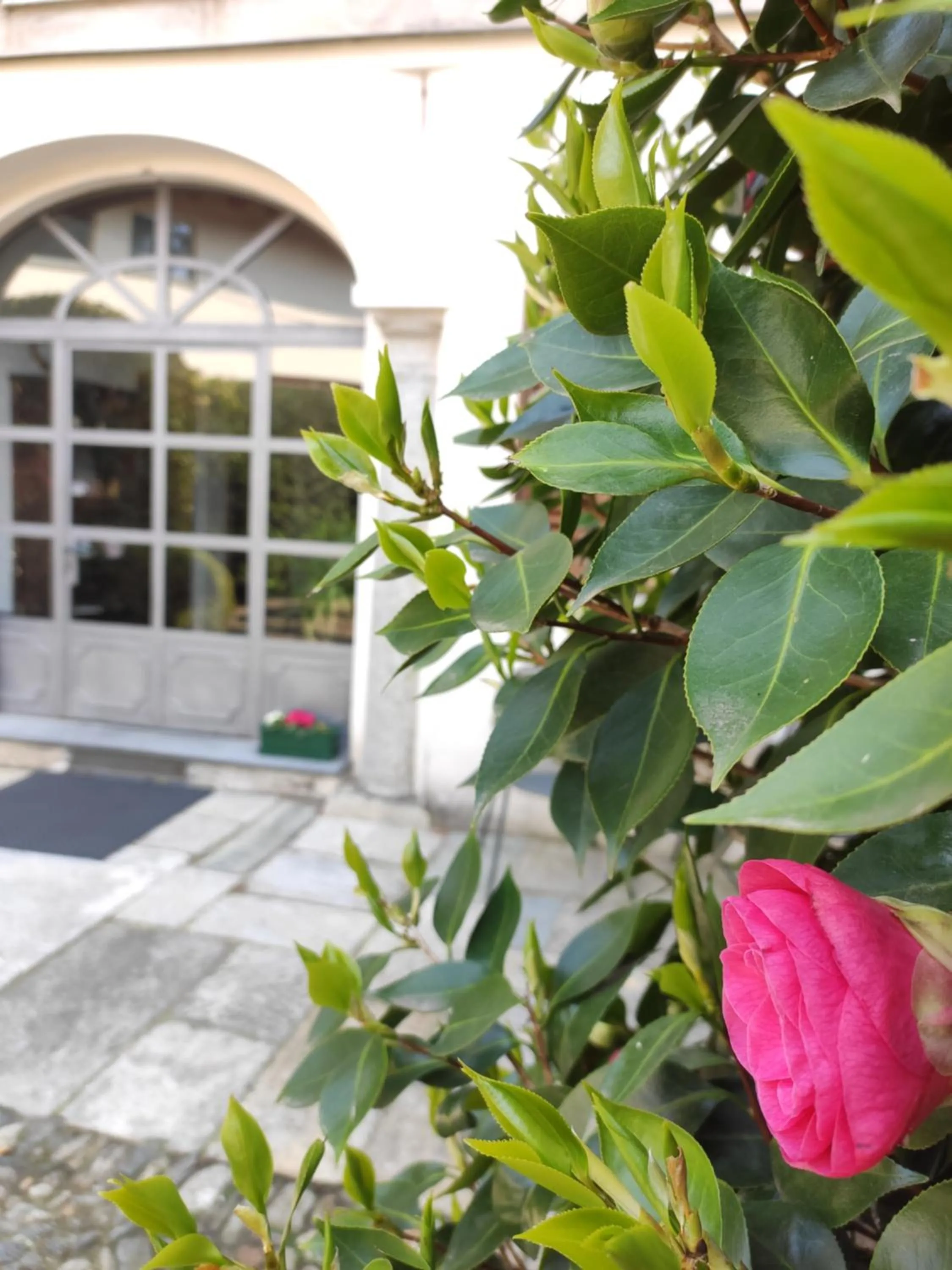 Property building in Casa Cannobio