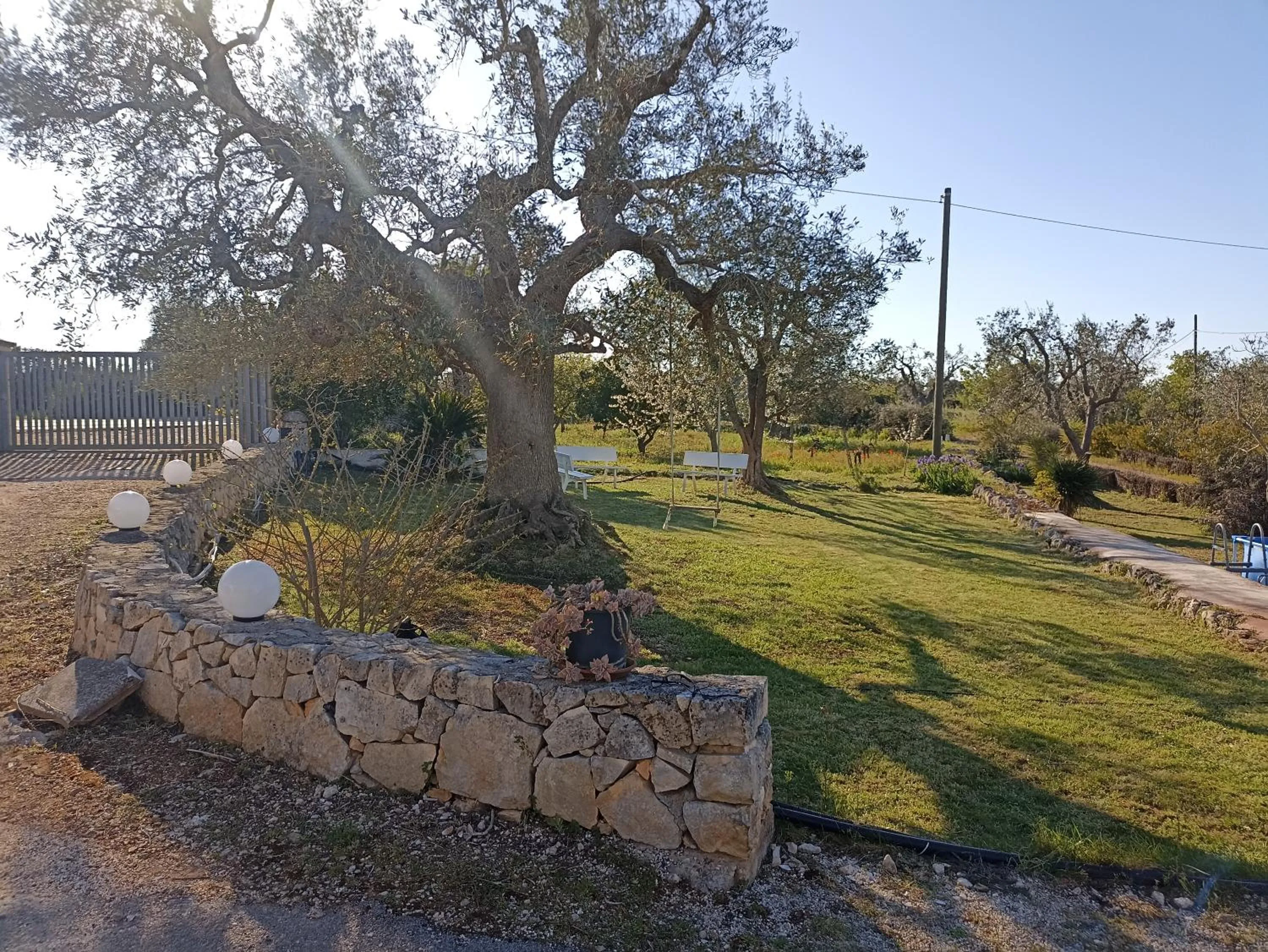Garden view in La casa degli artisti