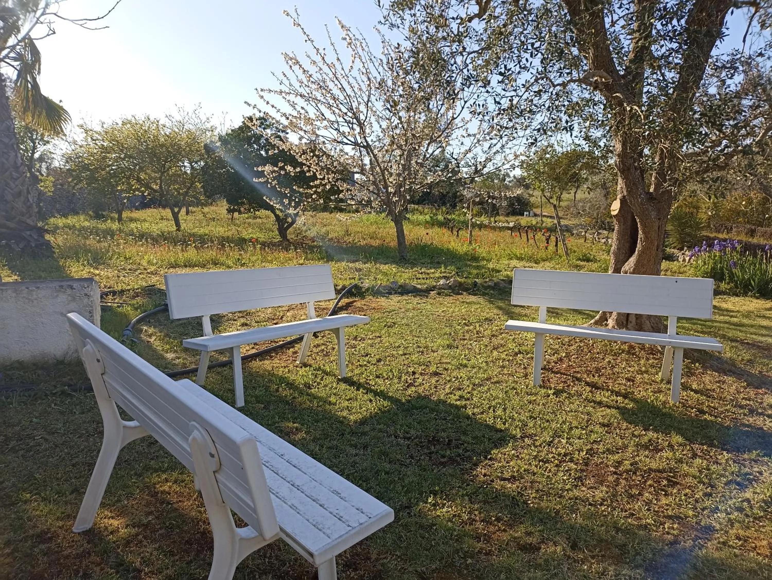 Day in La casa degli artisti