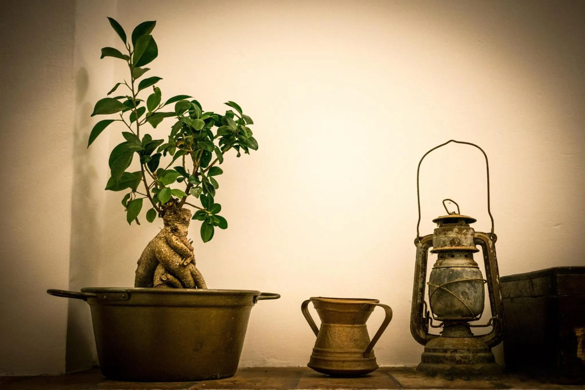 Decorative detail in Dimora Amina