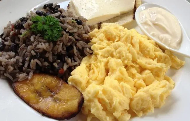 Natural landscape in Pensión y Cabinas Colibrí B&B Costa Rica