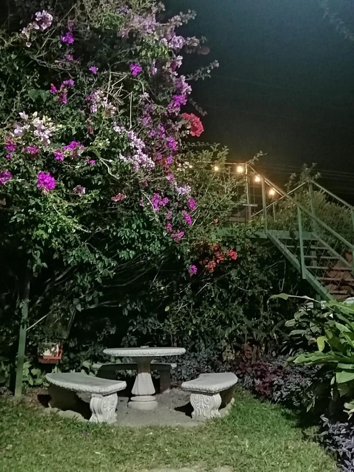 Property building in Pensión y Cabinas Colibrí B&B Costa Rica