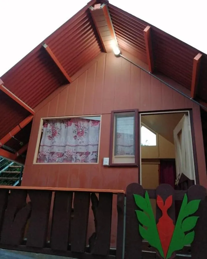 Balcony/Terrace in Pensión y Cabinas Colibrí B&B Costa Rica