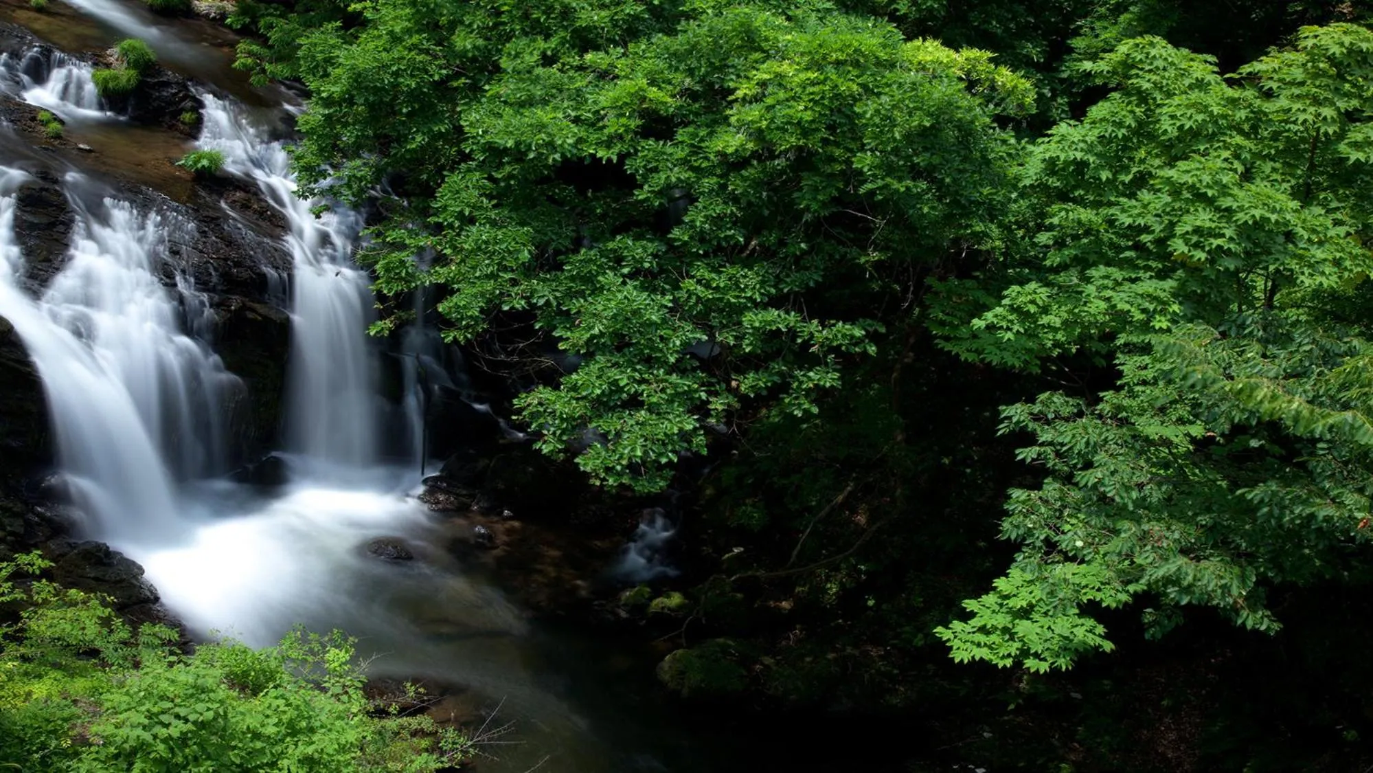Aizu Higashiyama Onsen Shosuke no Yado Takinoyu since1880
