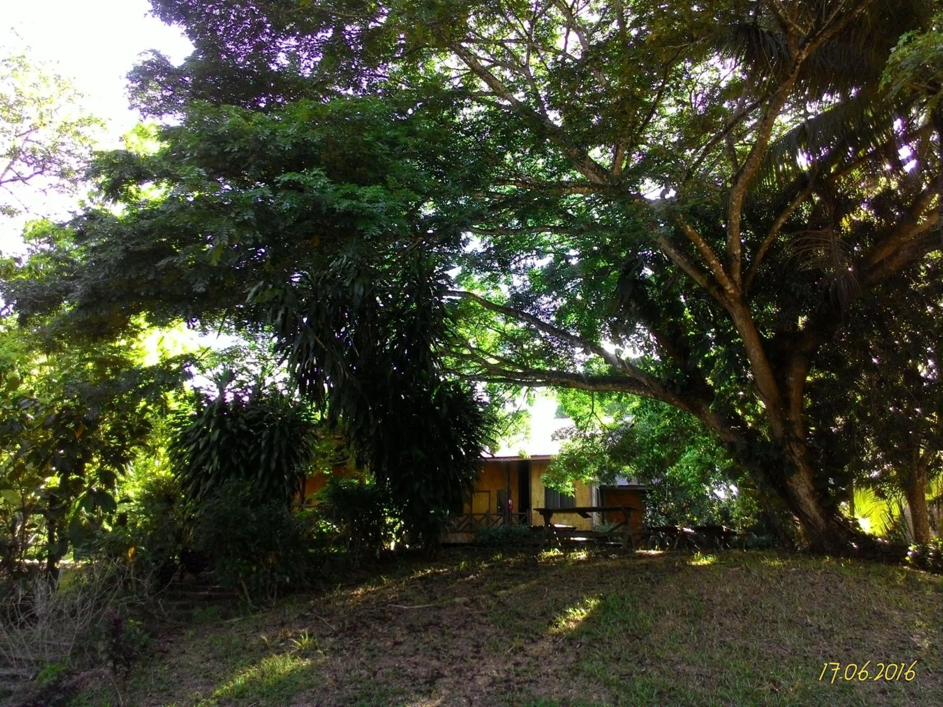 Garden in Sepilok B&B
