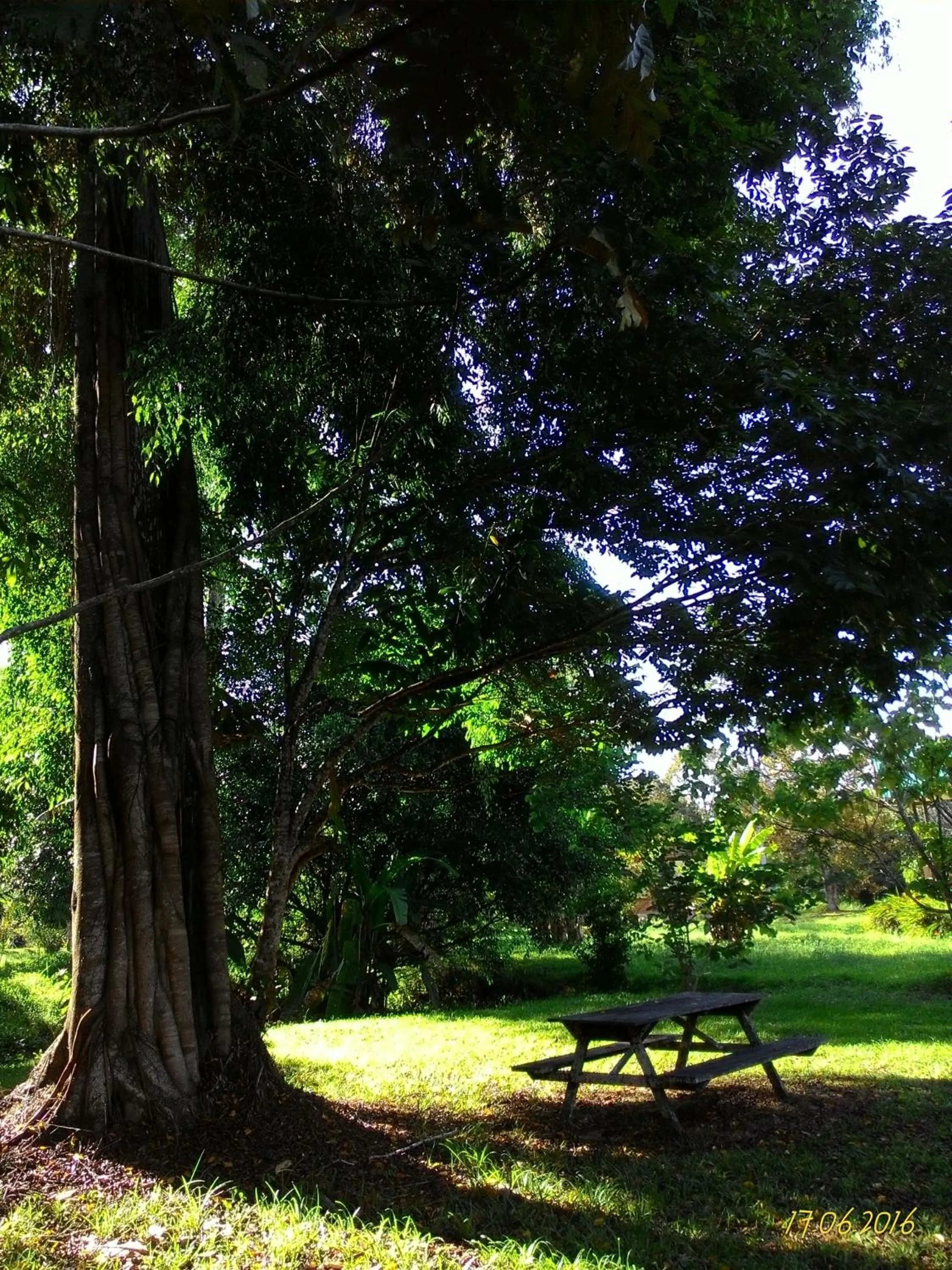 Garden in Sepilok B&B