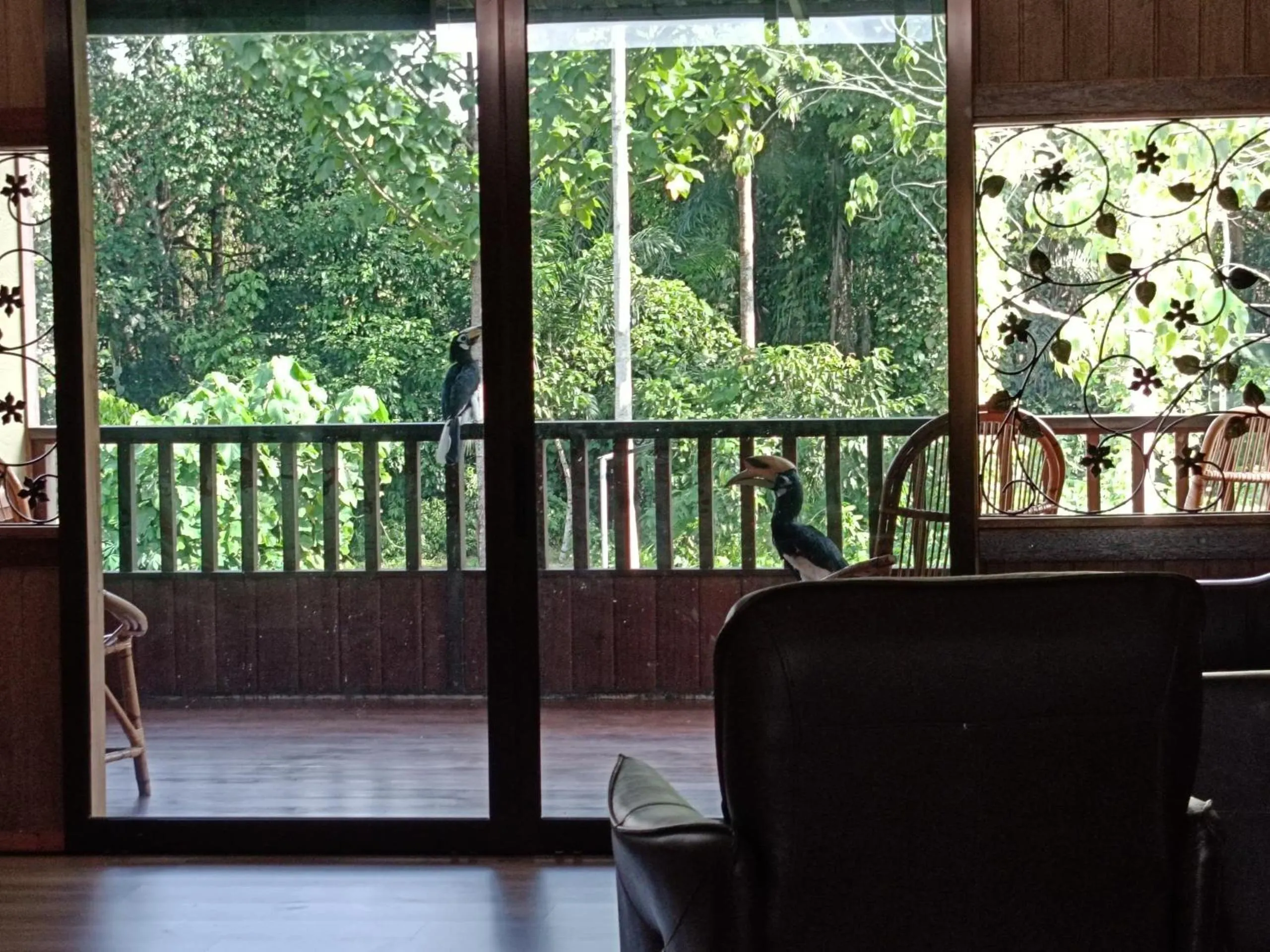 View (from property/room) in Sepilok B&B