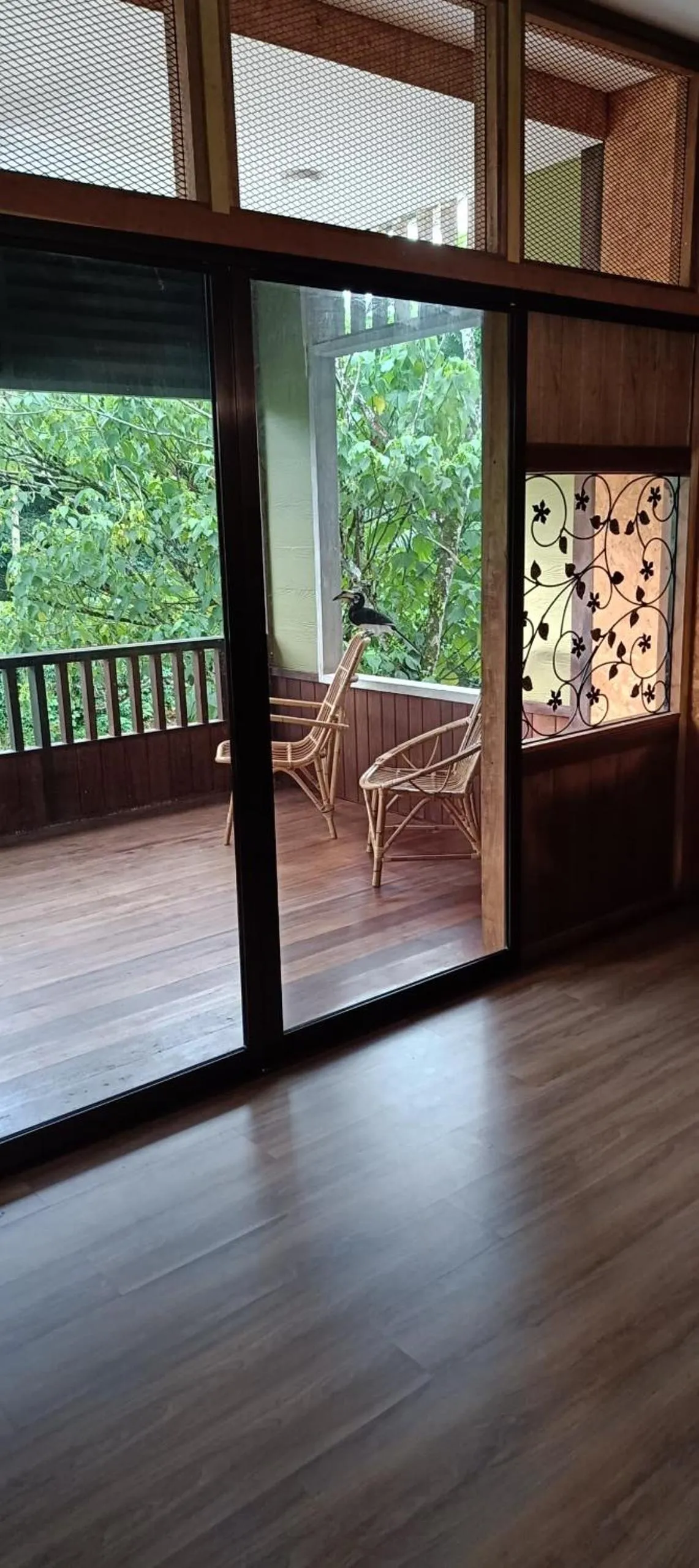 View (from property/room) in Sepilok B&B