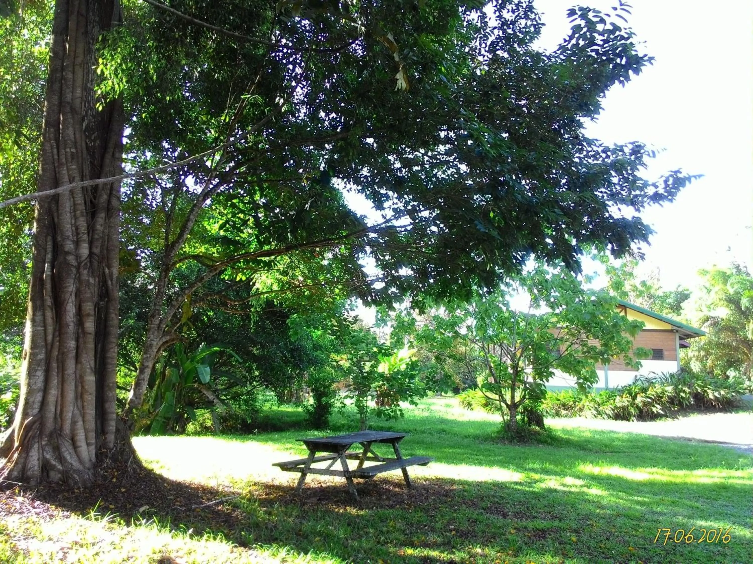 Garden in Sepilok B&B