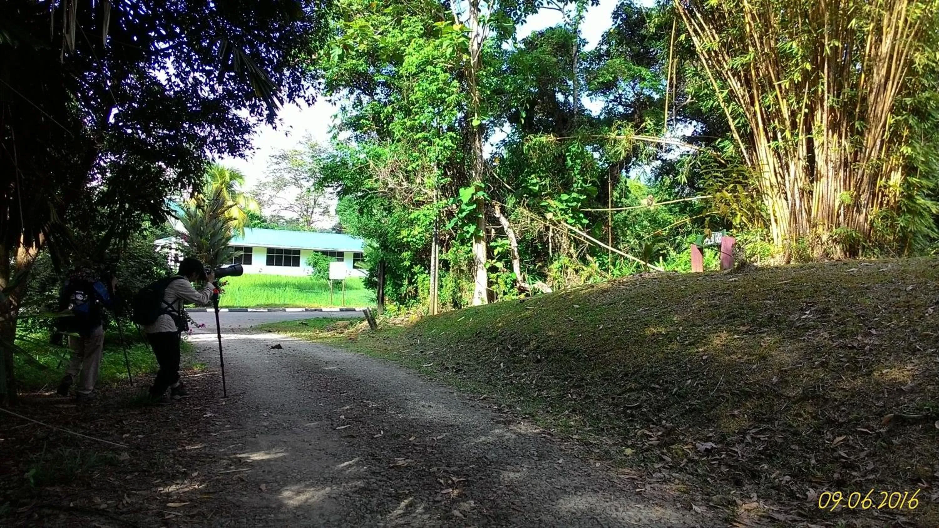 Garden in Sepilok B&B