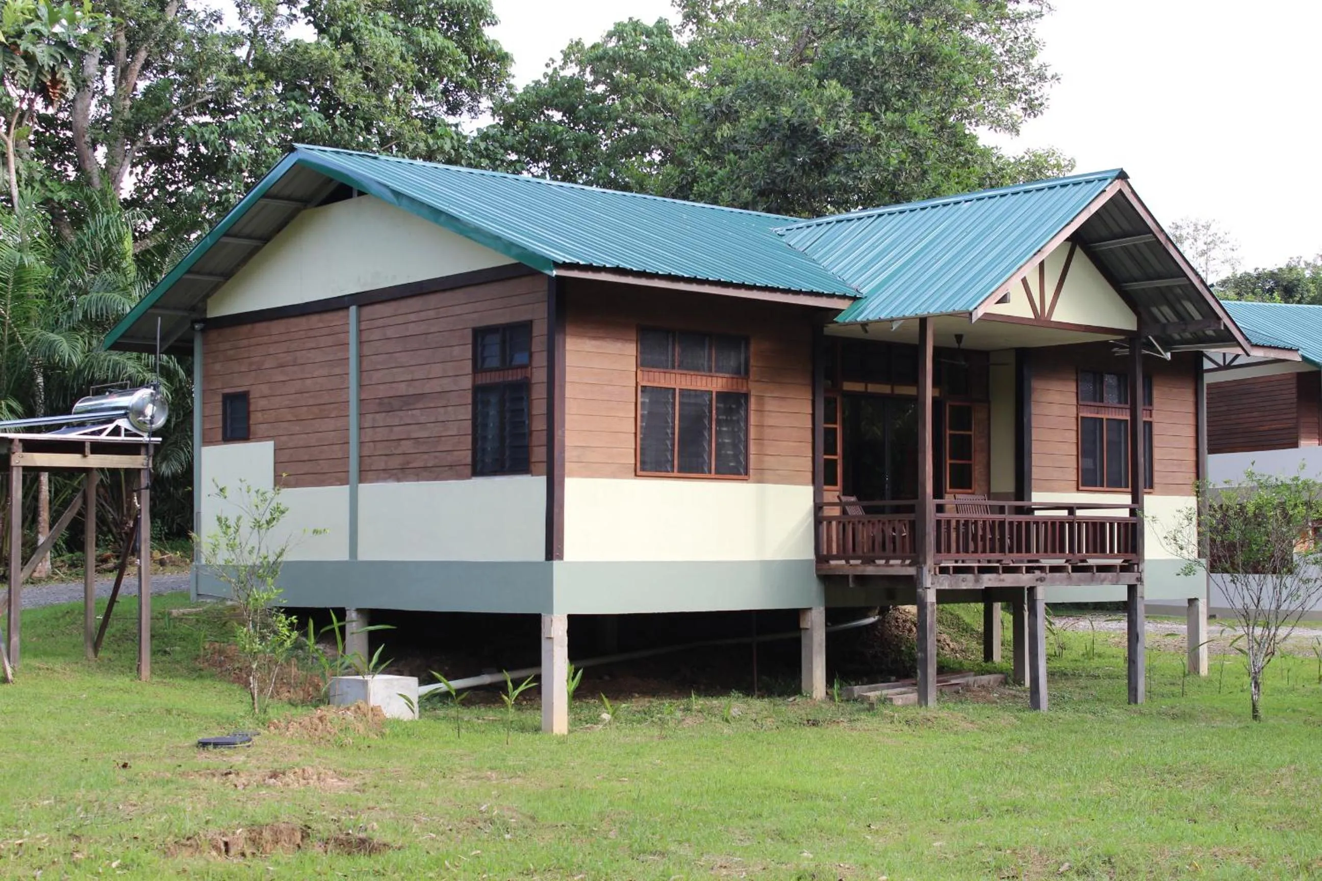 View (from property/room) in Sepilok B&B