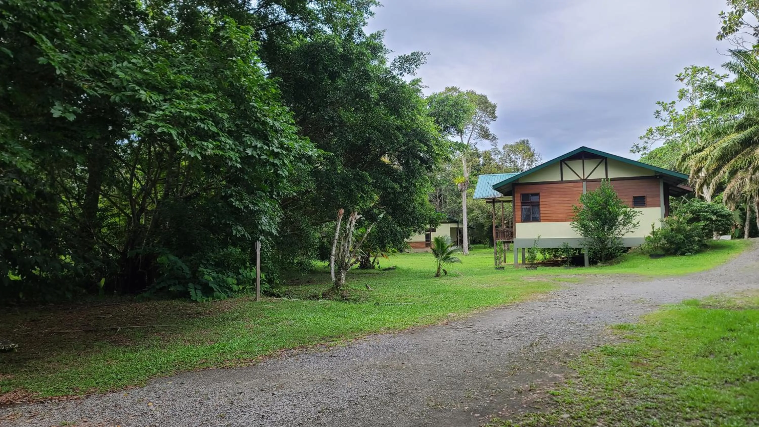 Natural landscape in Sepilok B&B
