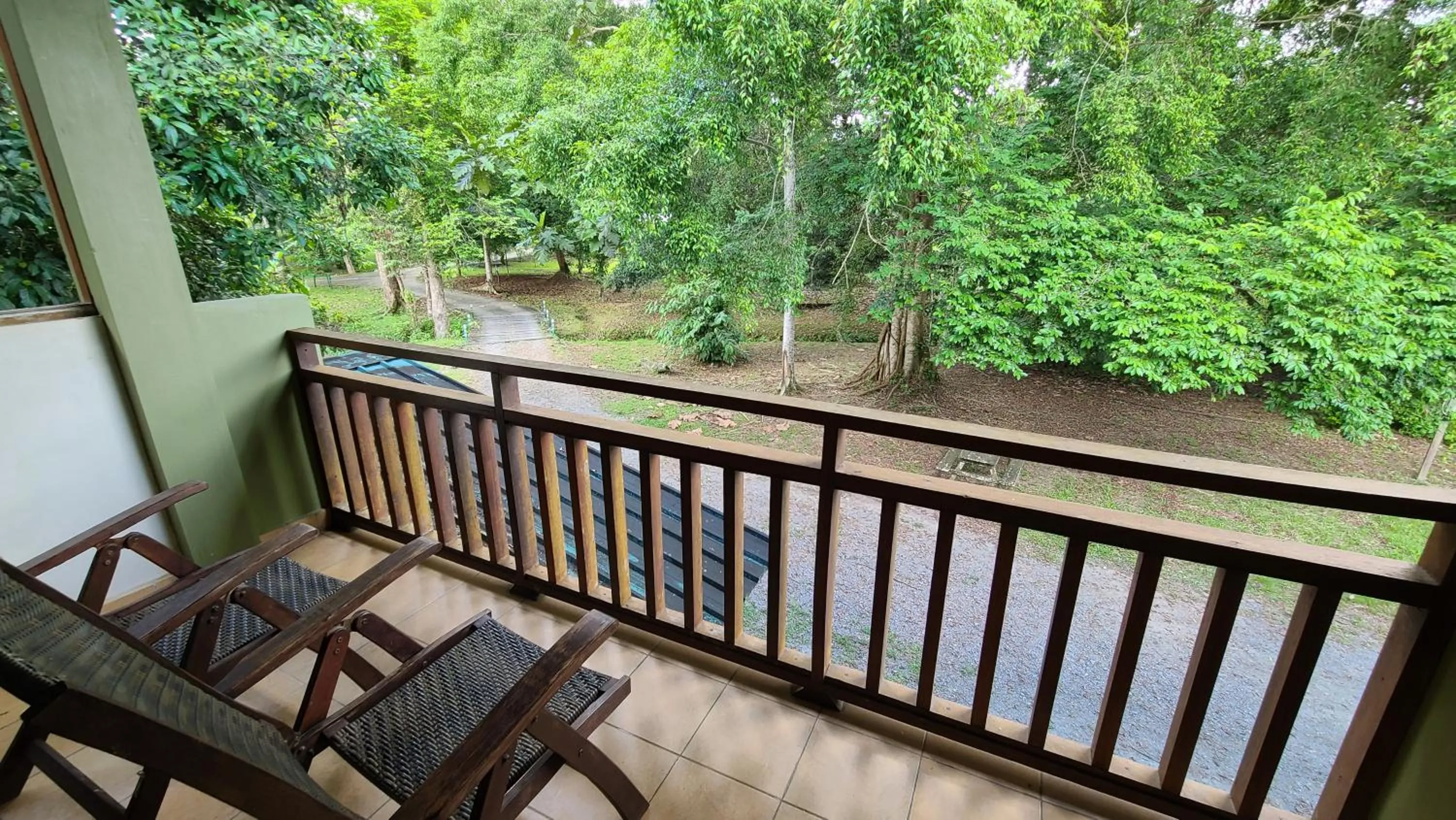 View (from property/room) in Sepilok B&B