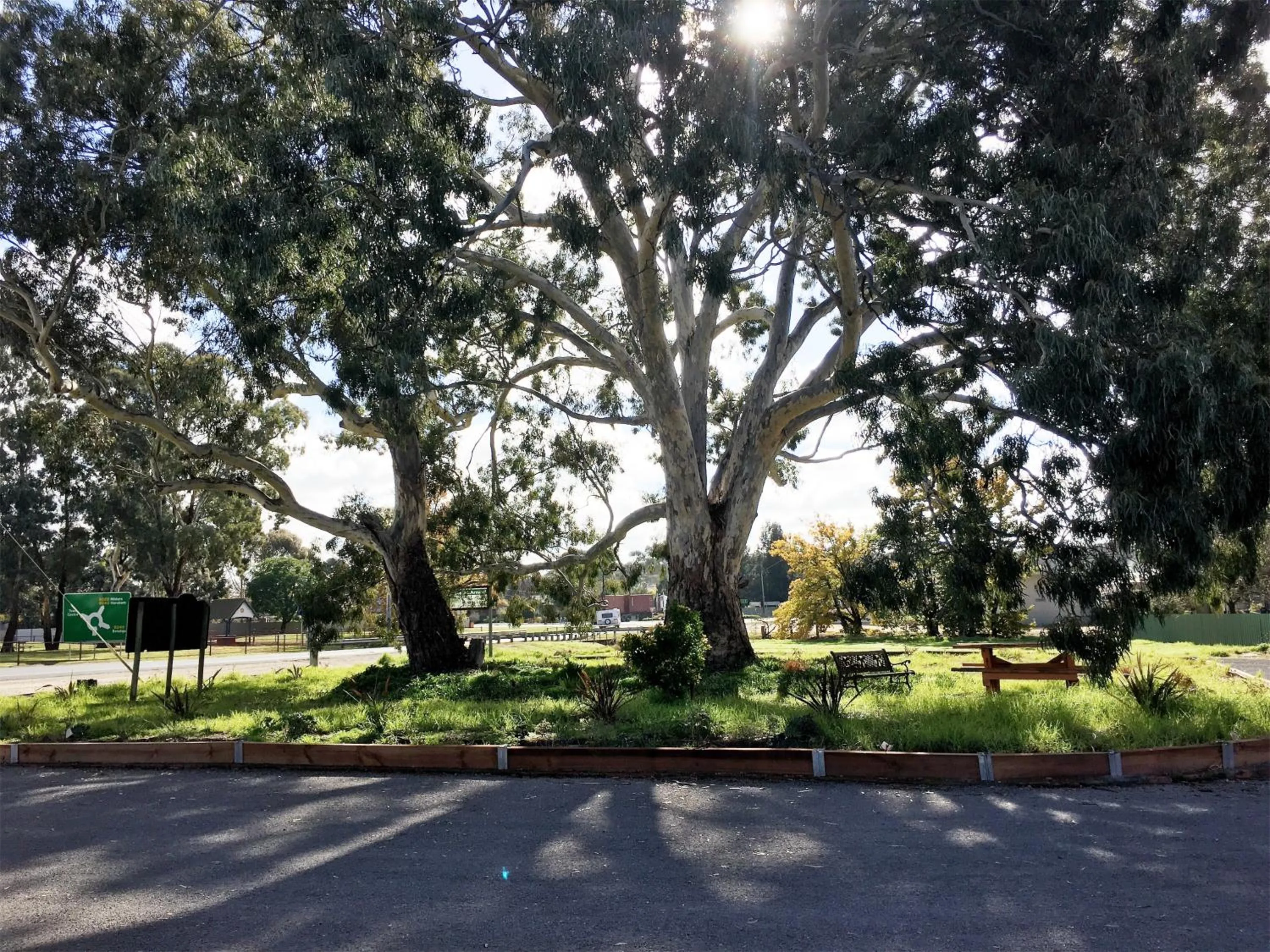 Garden in Motel St Arnaud