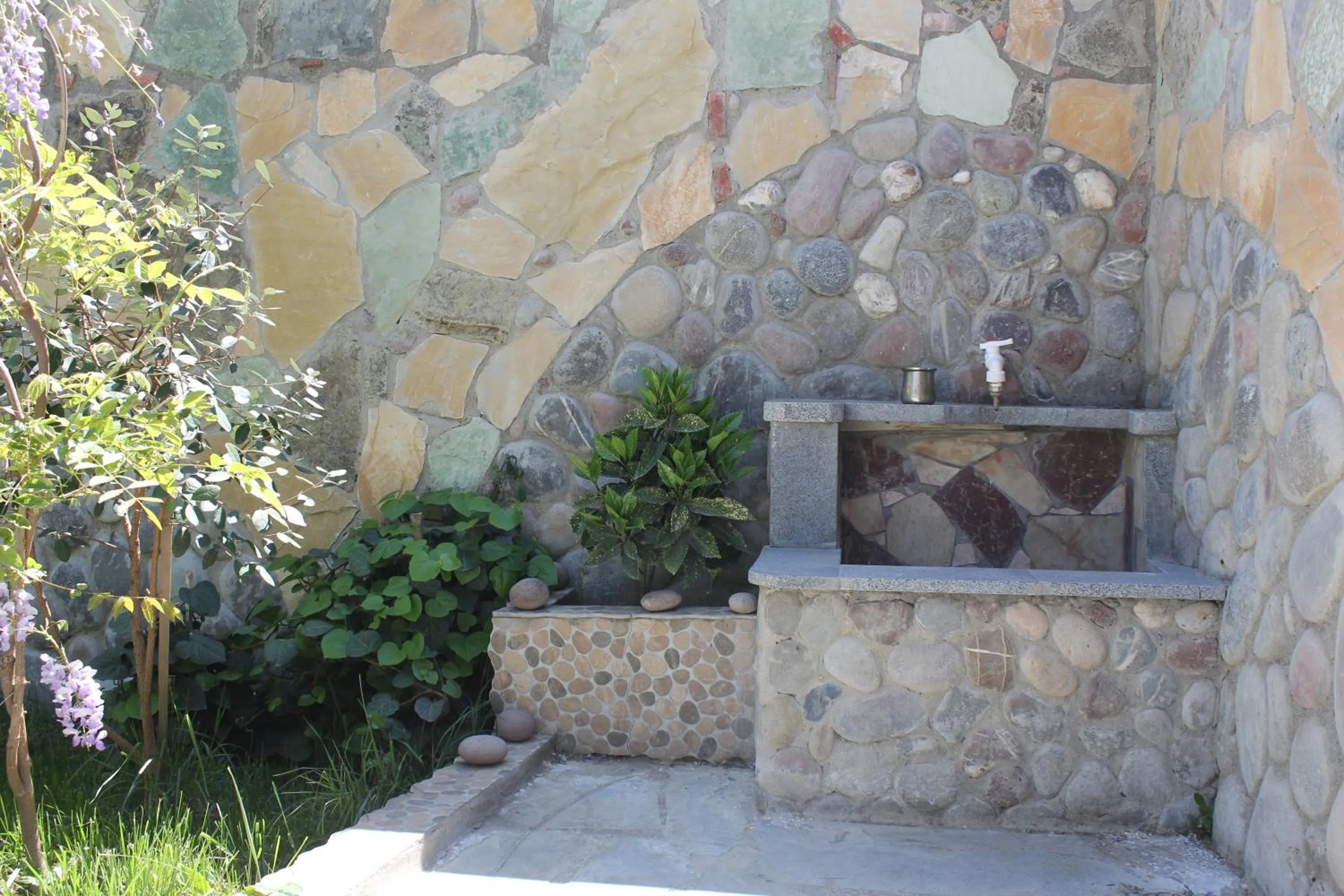 Garden in Hotel Mimino