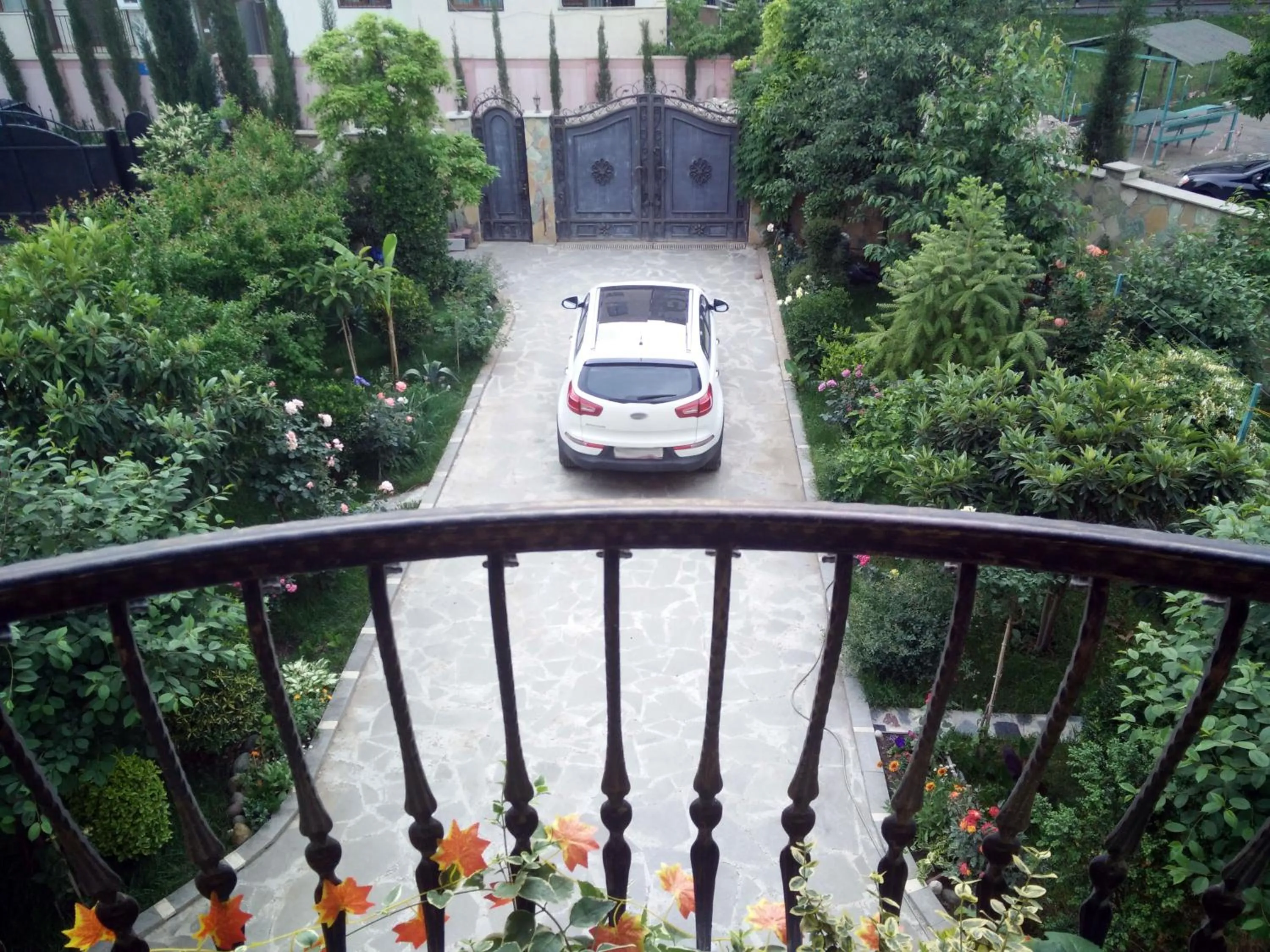 Garden view in Hotel Mimino