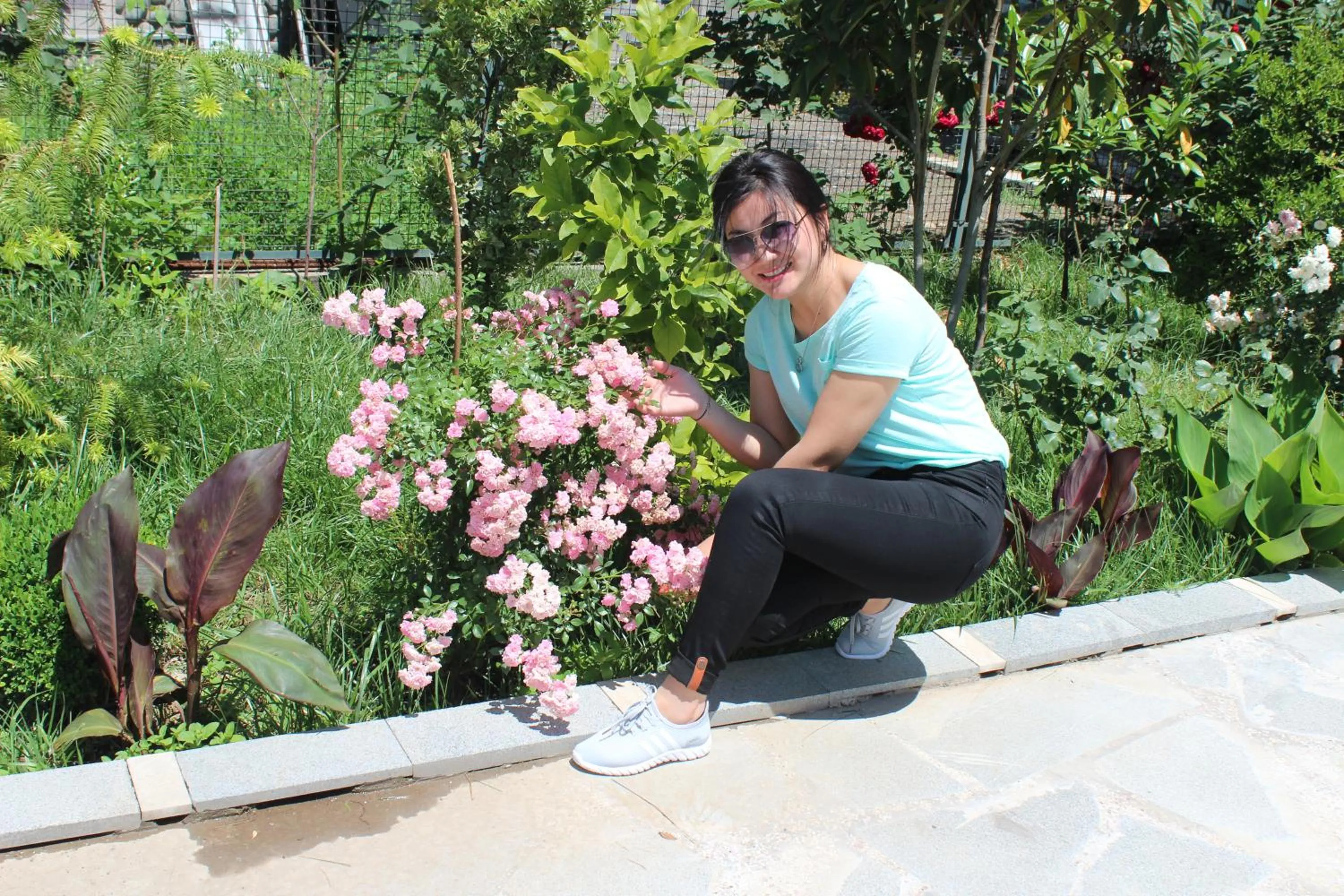 Other in Hotel Mimino