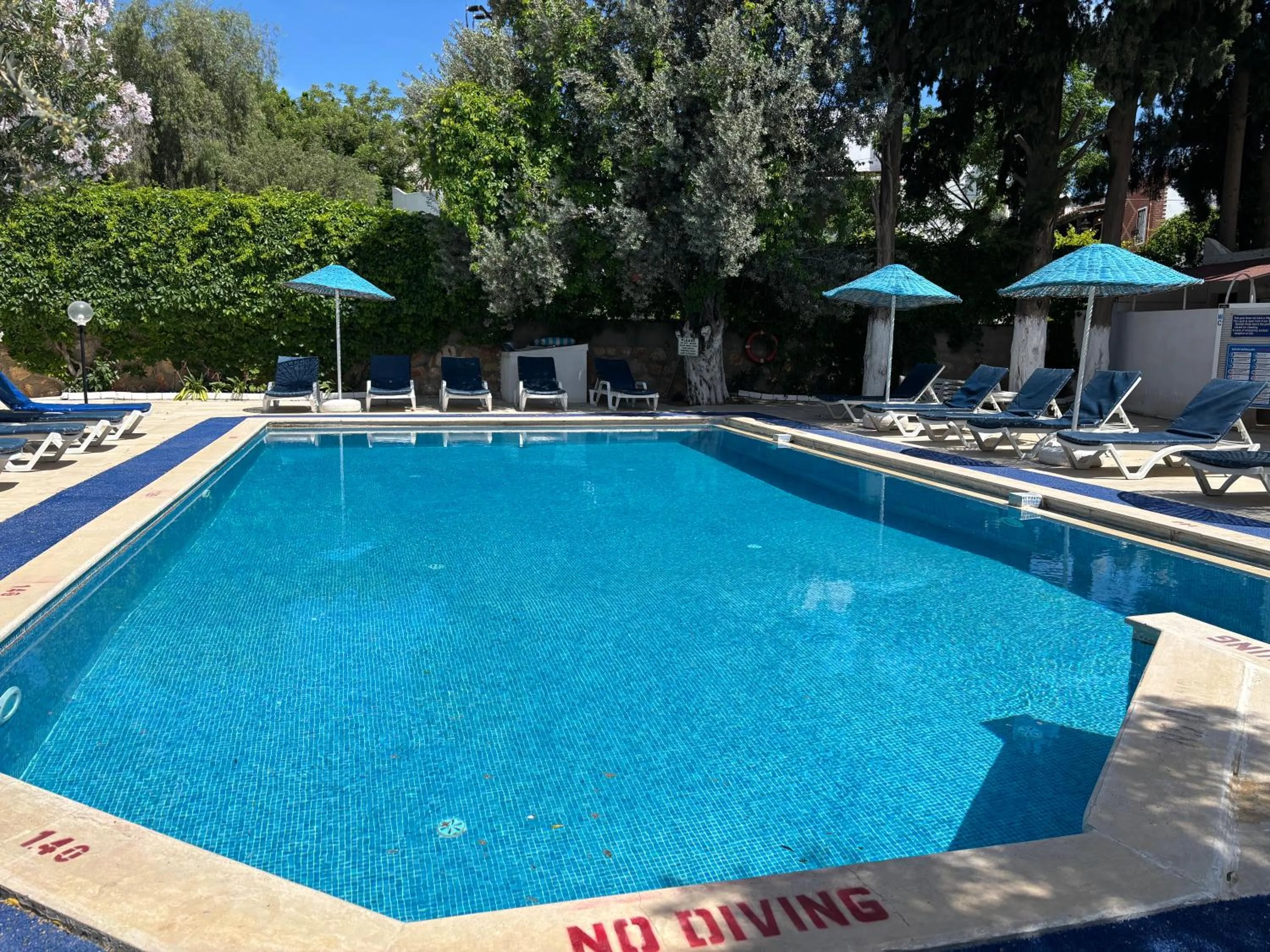 Ali Baba Hotel Gümbet