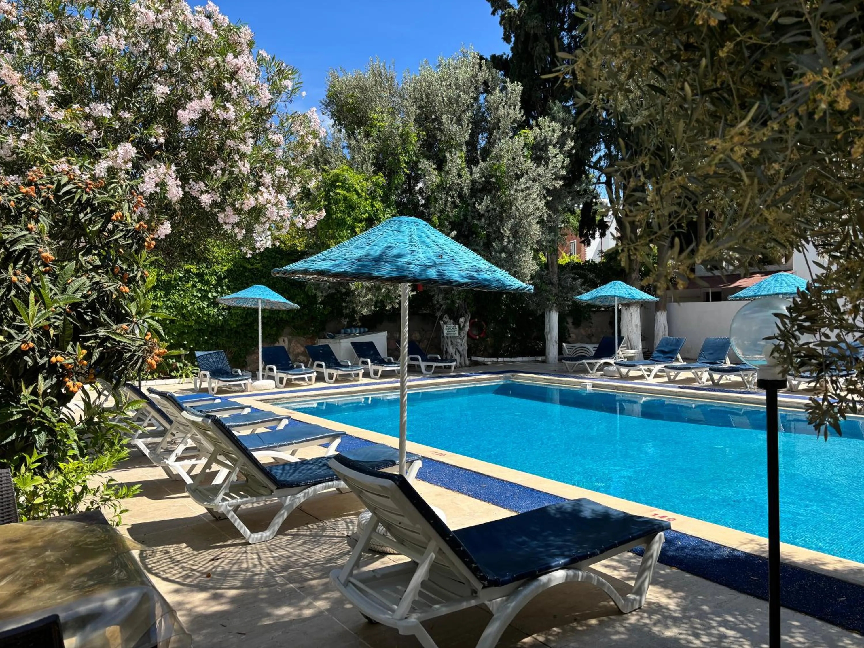 Ali Baba Hotel Gümbet