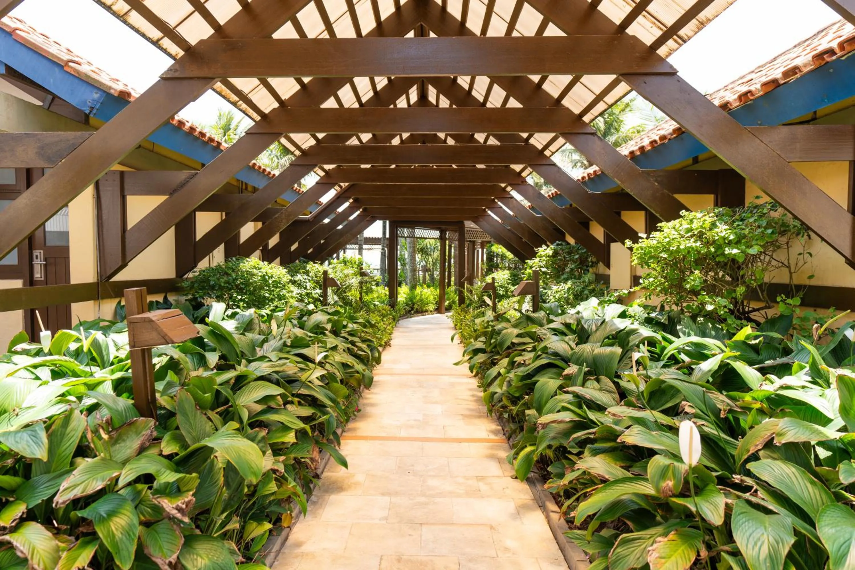 Garden view in Costa Norte Ingleses Hotel