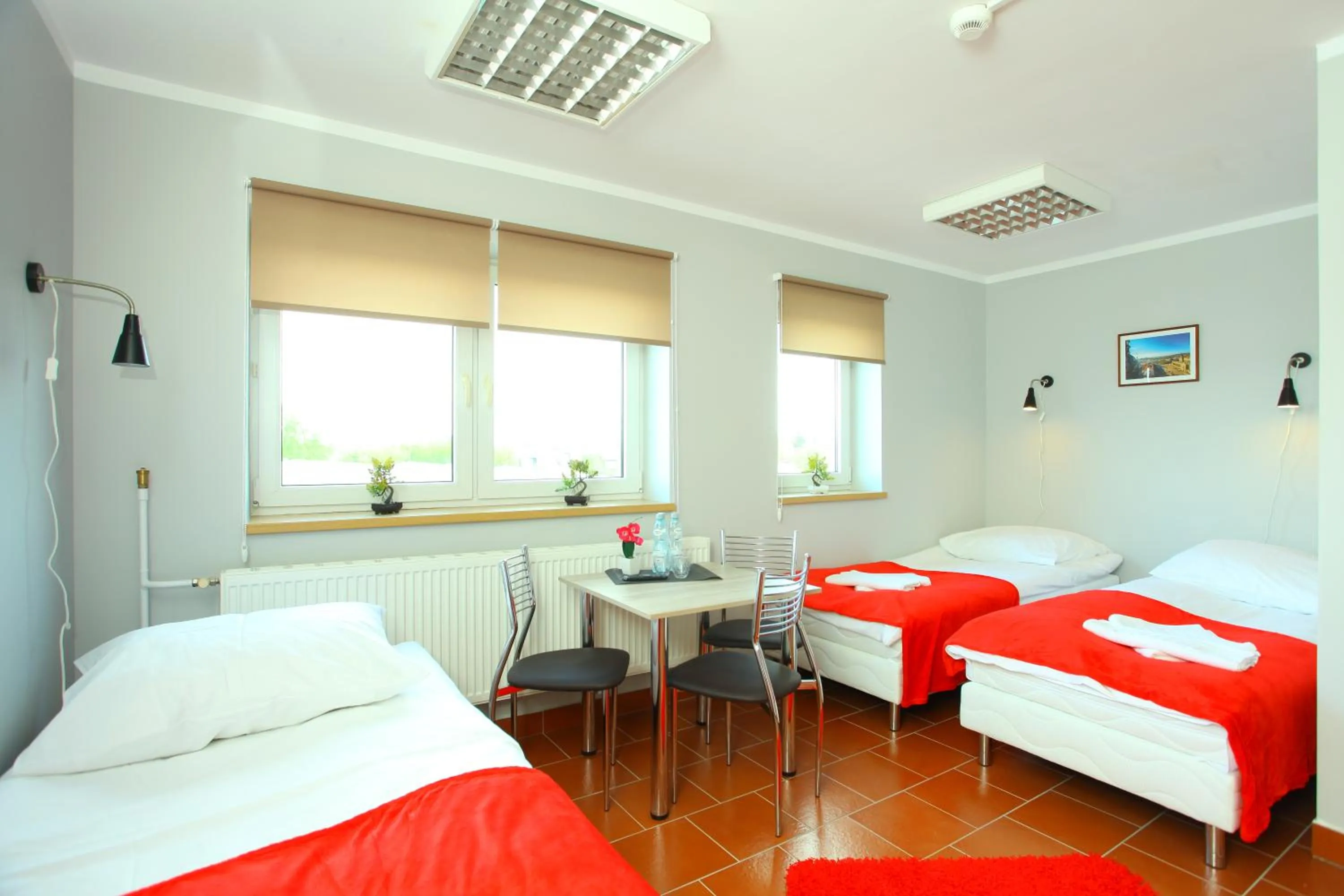 Photo of the whole room, Bed in Hostel Bazar