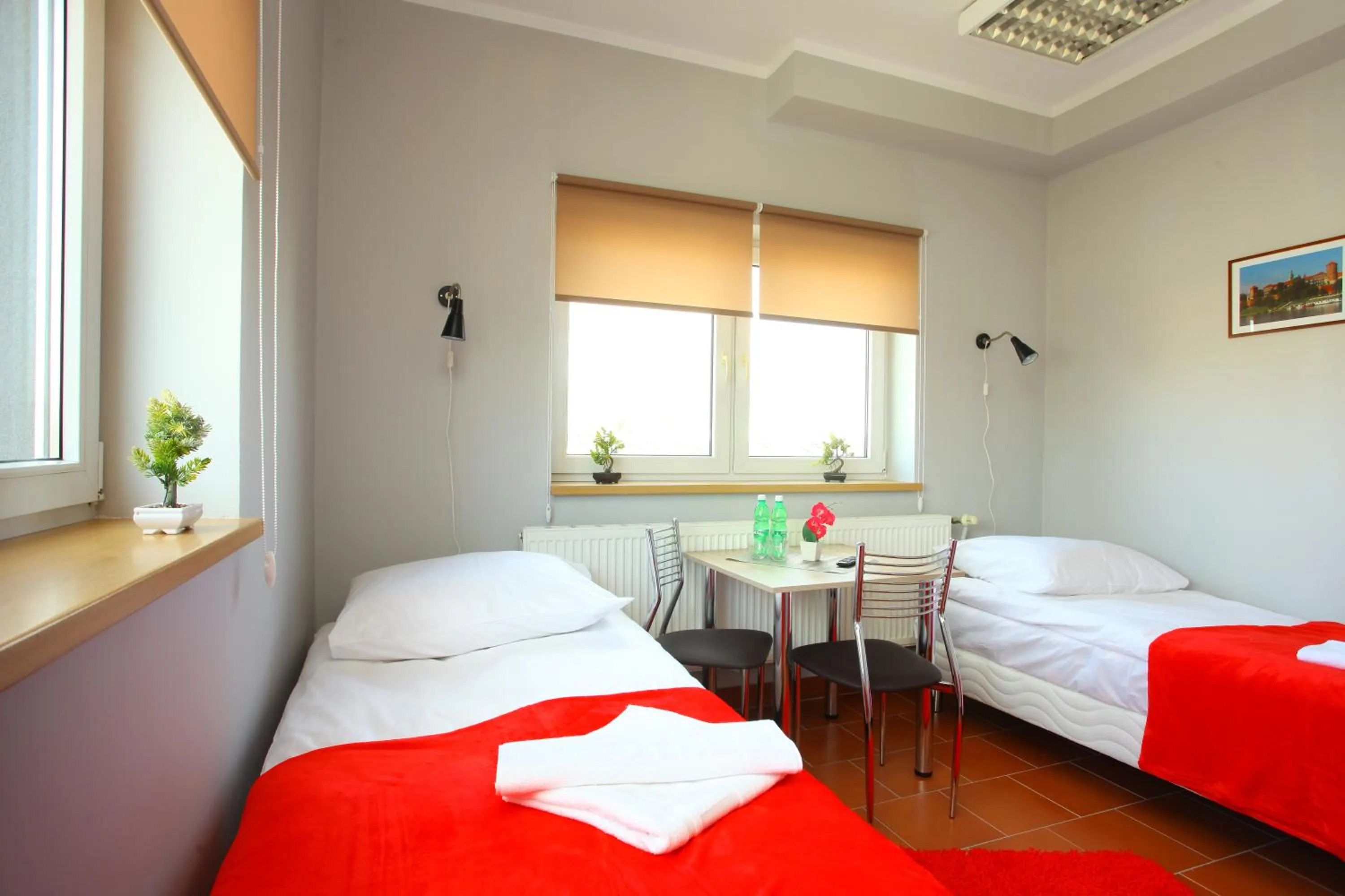 Photo of the whole room, Bed in Hostel Bazar