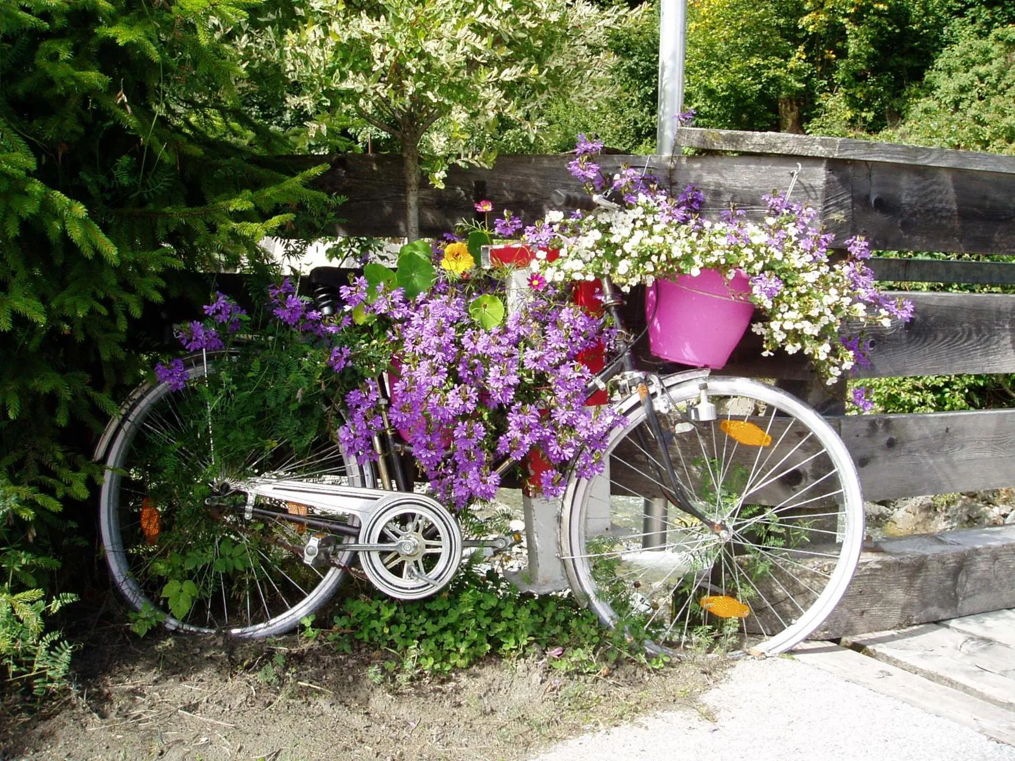 Natural landscape in Am Zwölferkogel Appartements