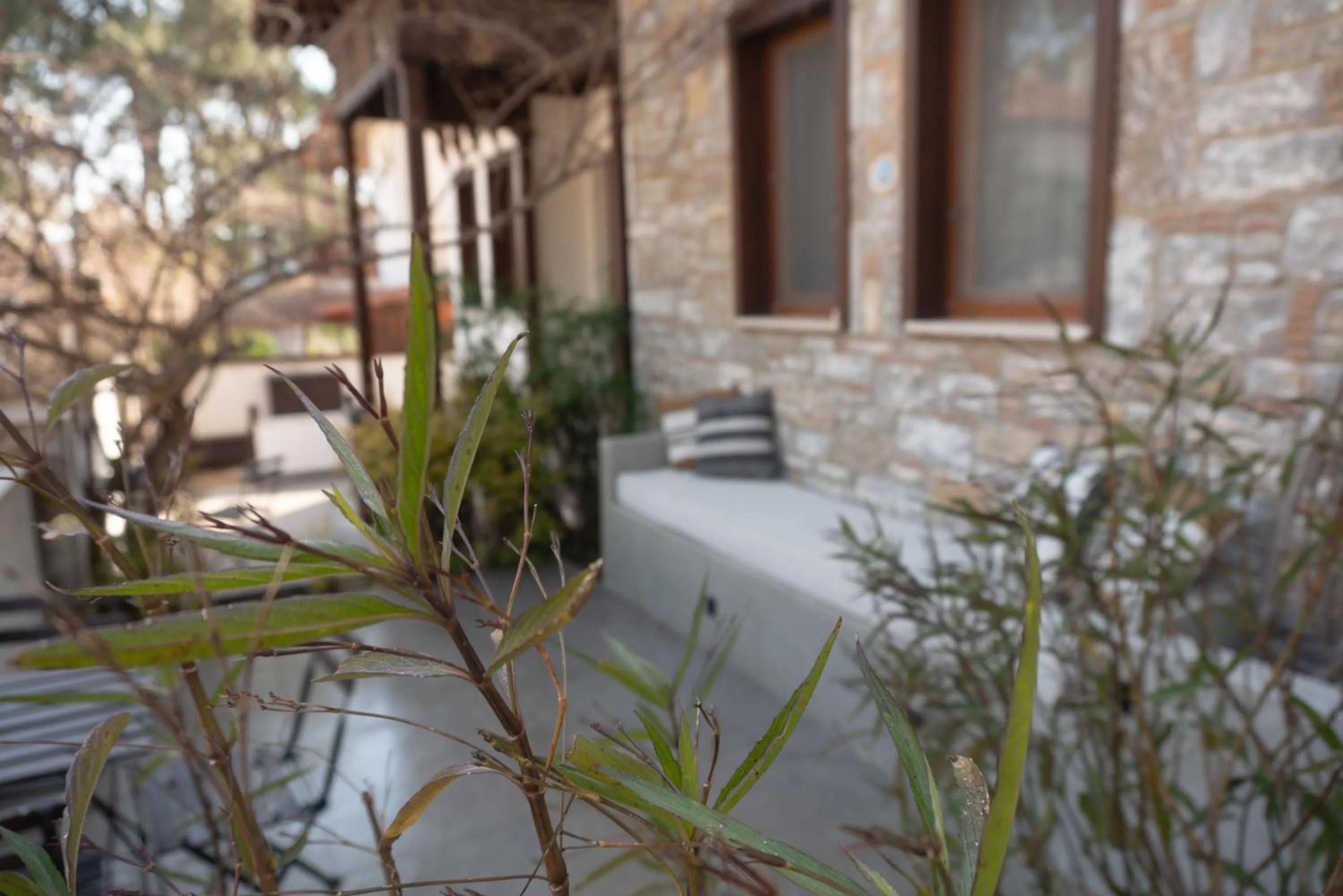 Garden in Alp Suites Lavanta