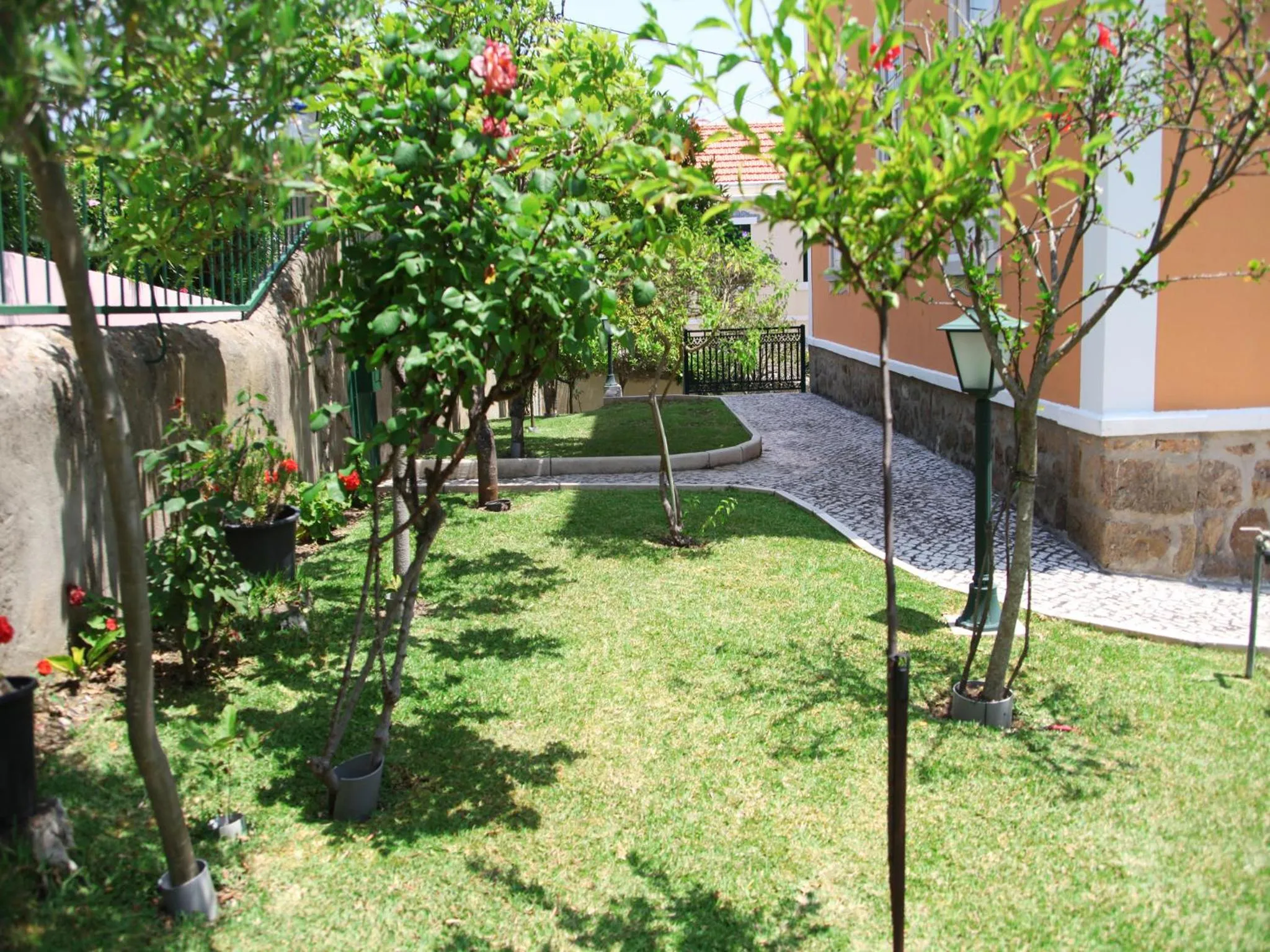 Garden in Hotel Smart