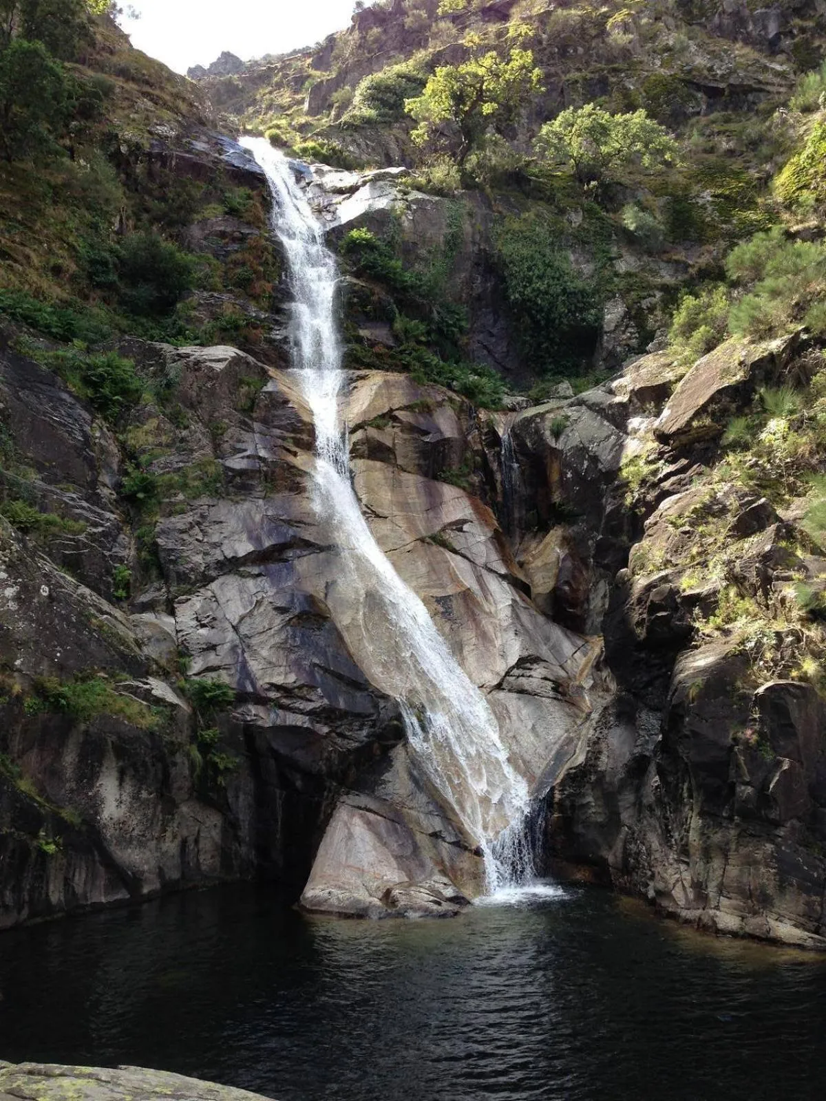 Natural landscape in Pena Park Hotel
