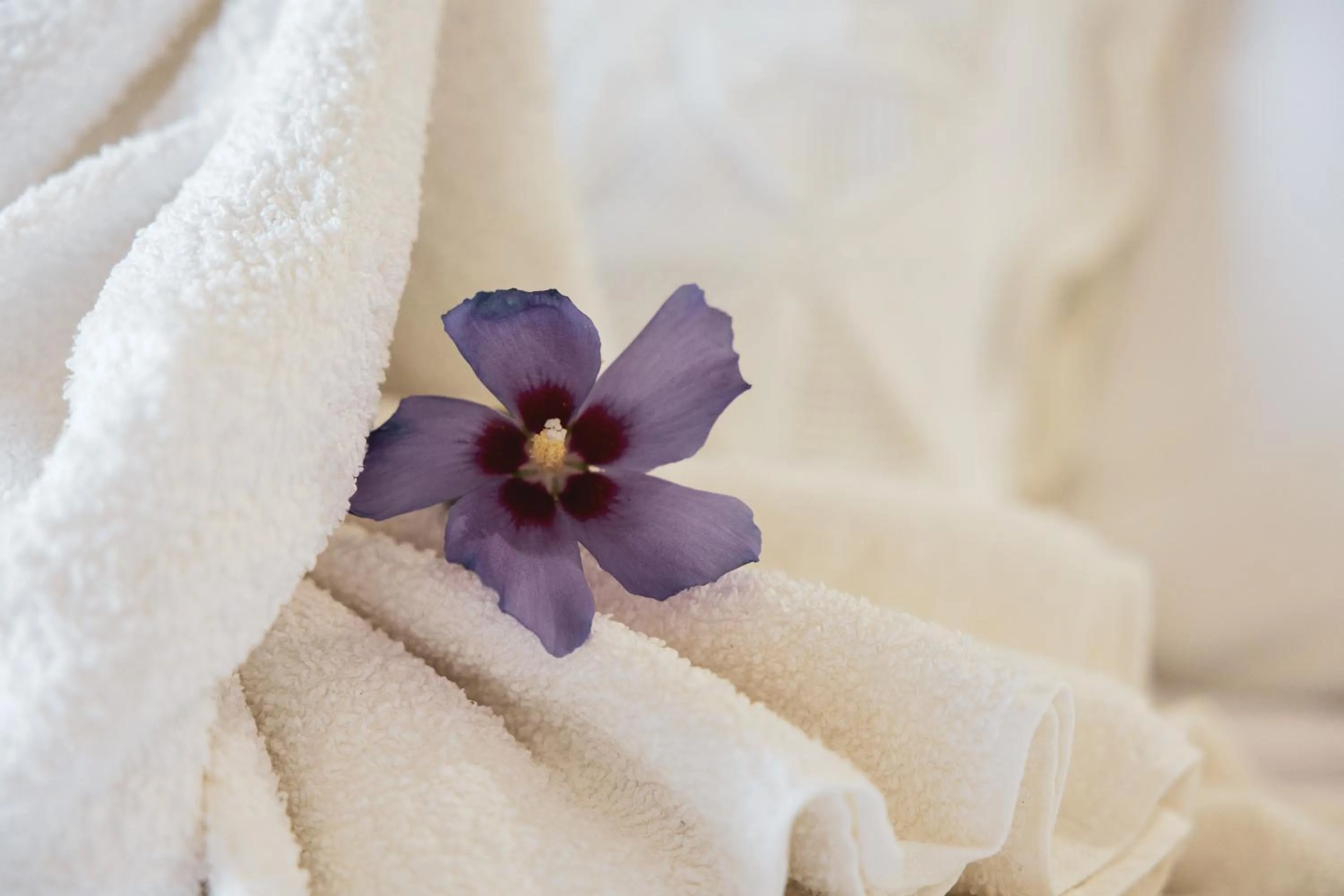 Bedroom, Bed in Hotel Rural Sra De Pereiras