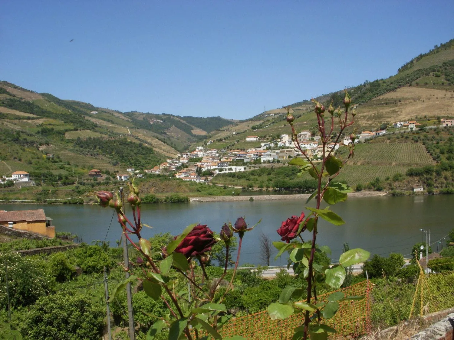 Area and facilities in Quinta Da Azenha