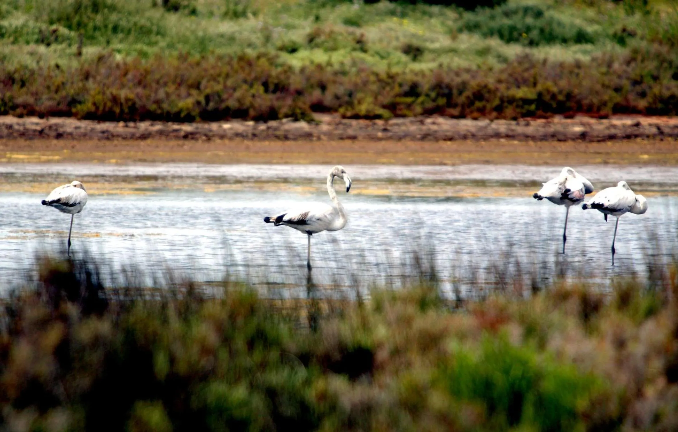Off site in Wyndham Residences Alvor Beach