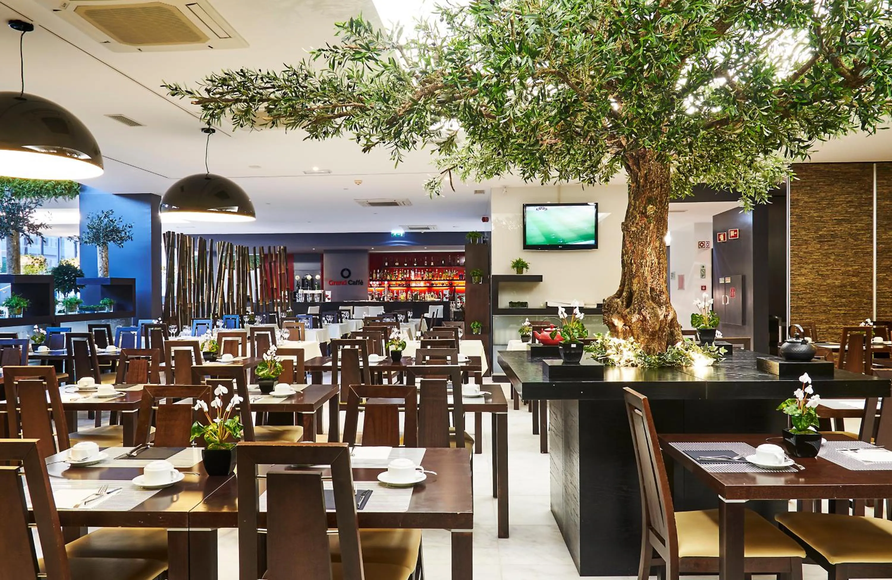 Restaurant/places to eat in RR Hotel da Rocha