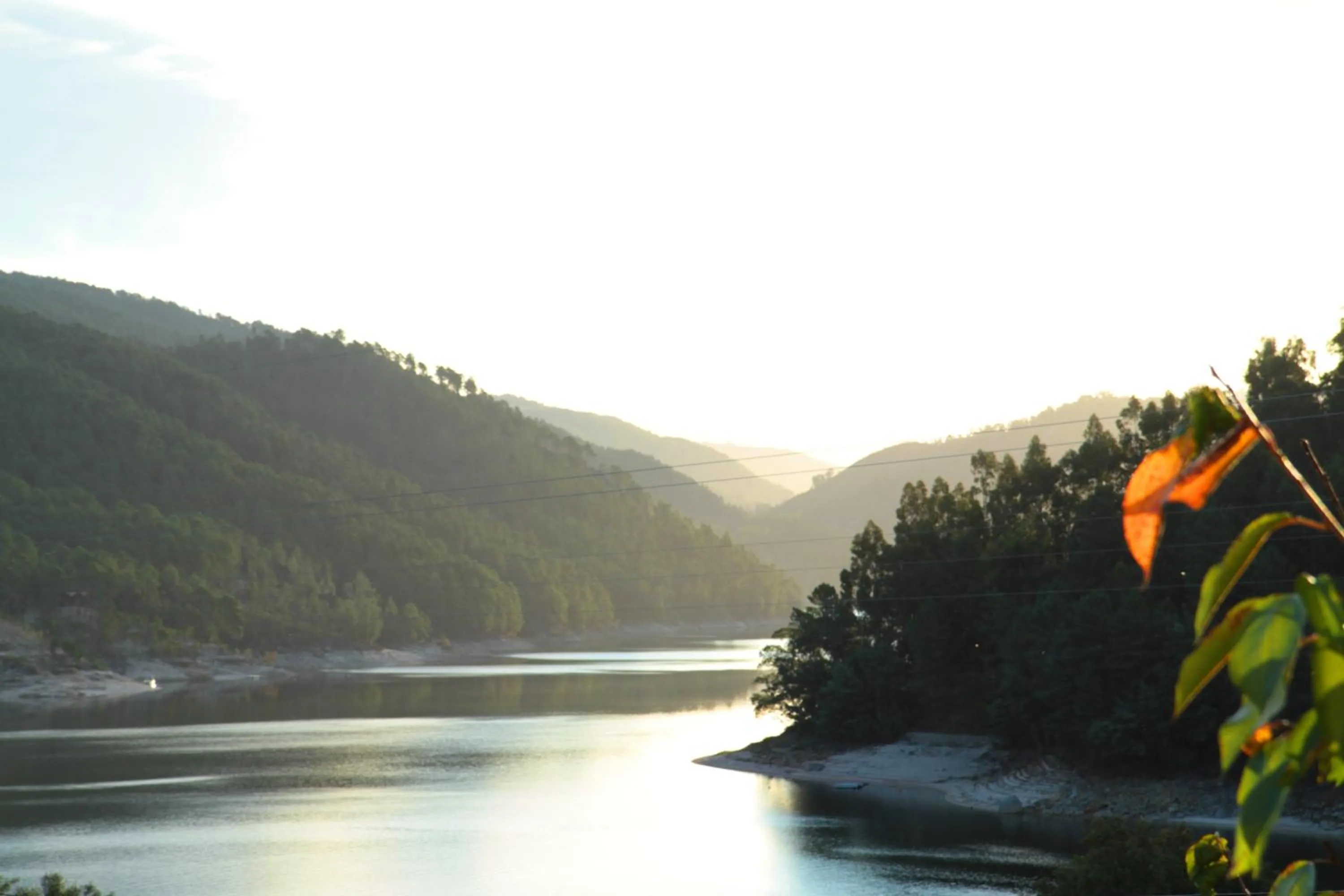 Natural landscape in Hotel Eco Salvador