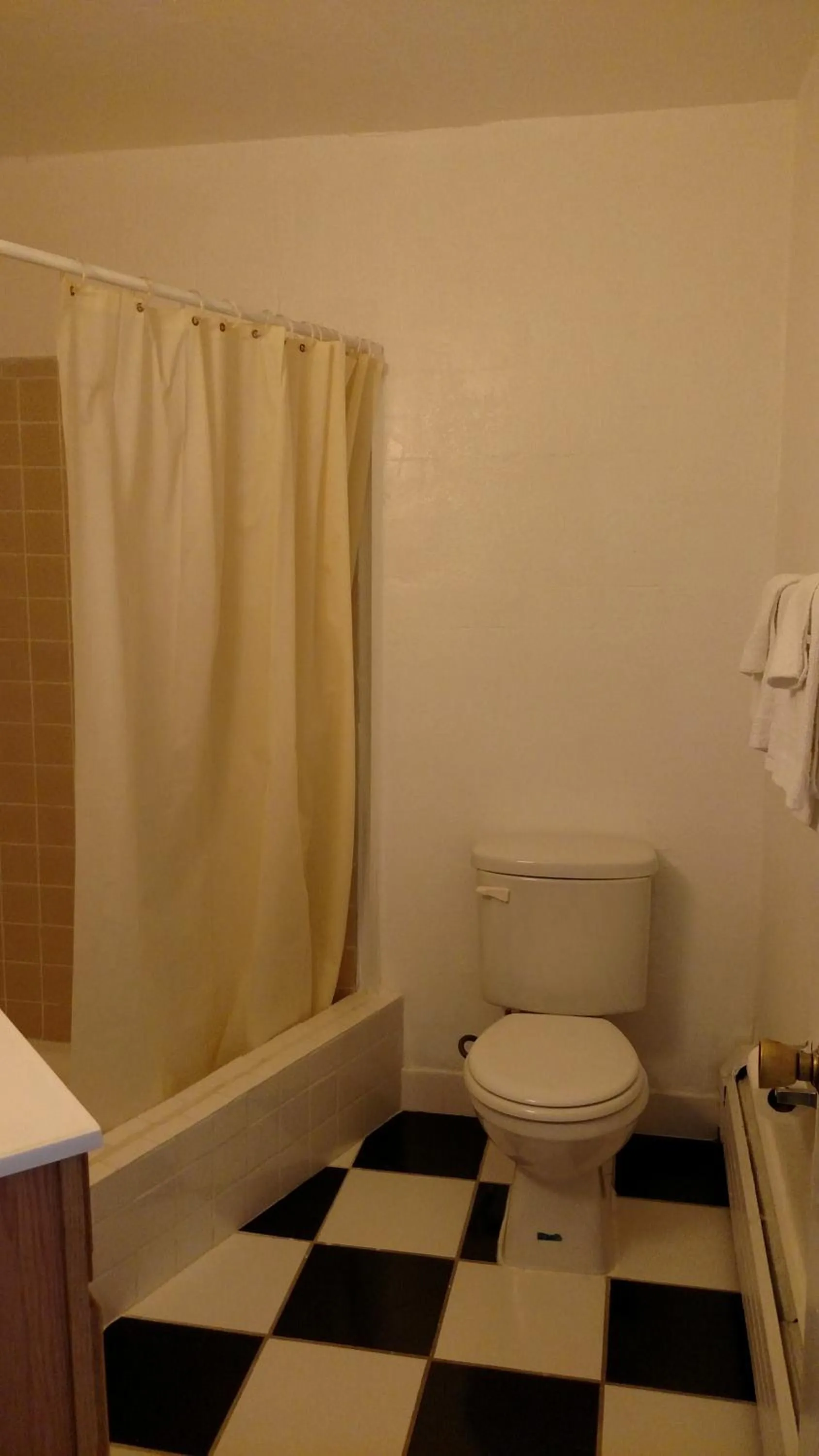 Bathroom in Essex House Motel