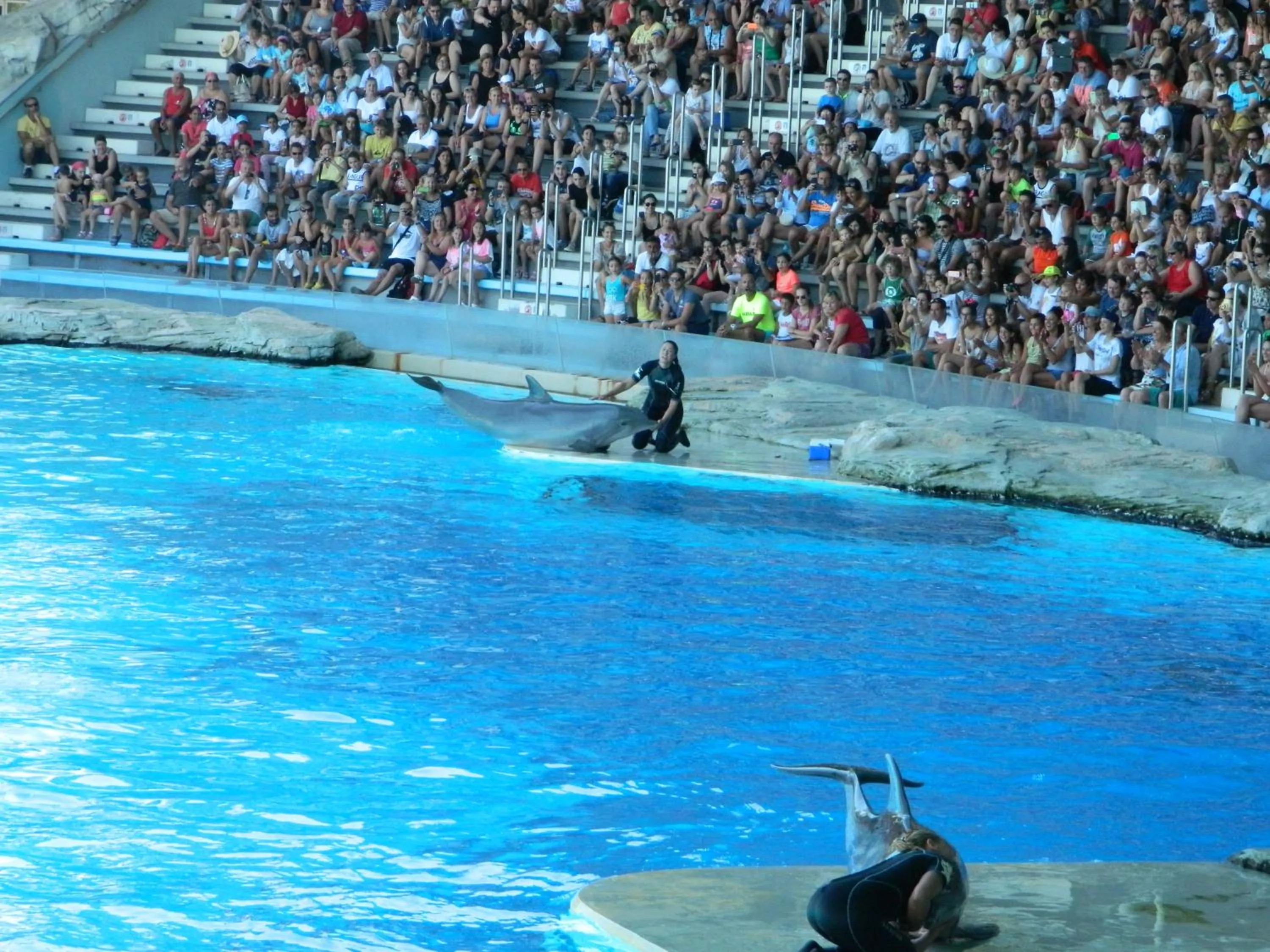 Aqua park in Residence Veliero