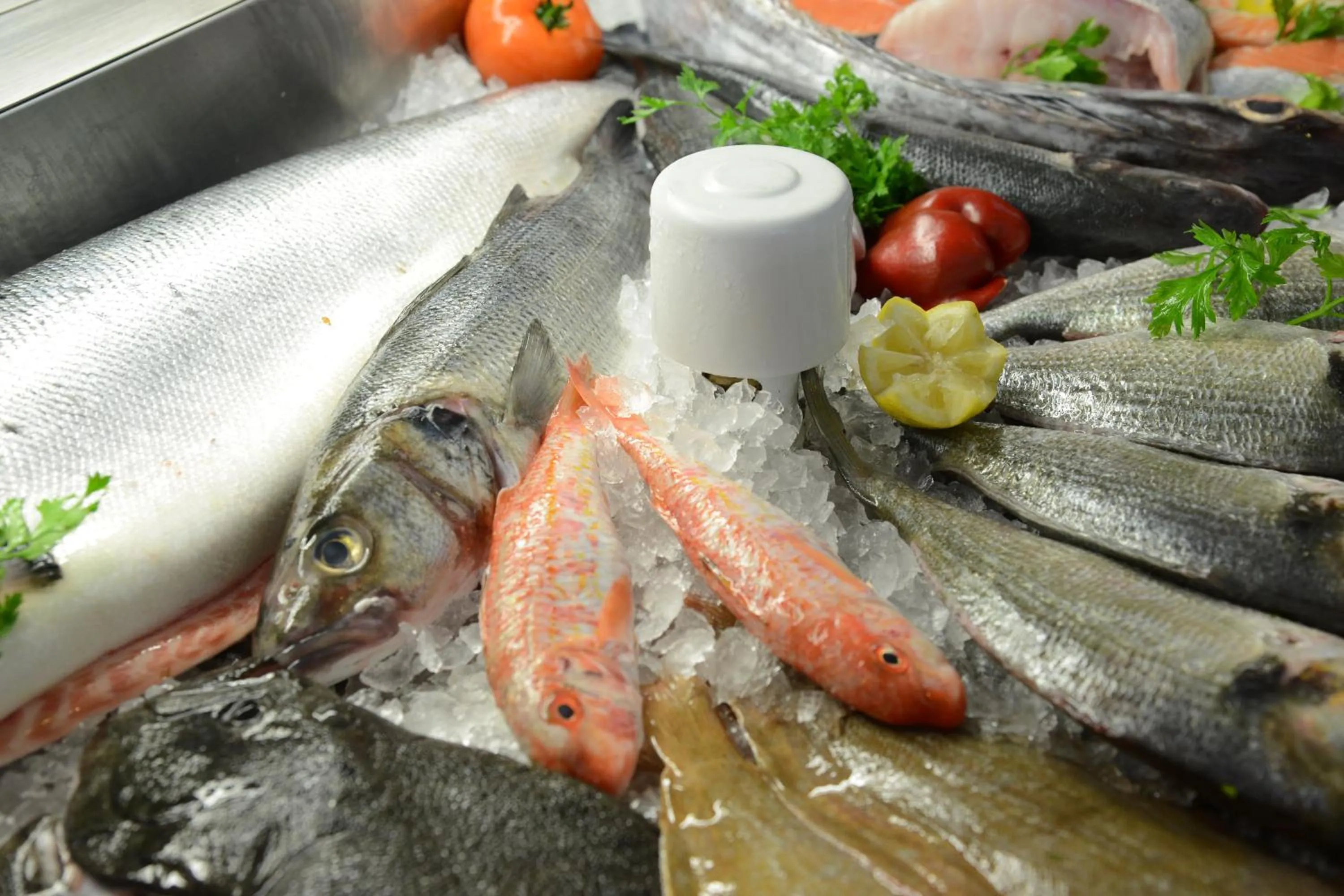 Food and drinks in Hotel Dom Lourenco