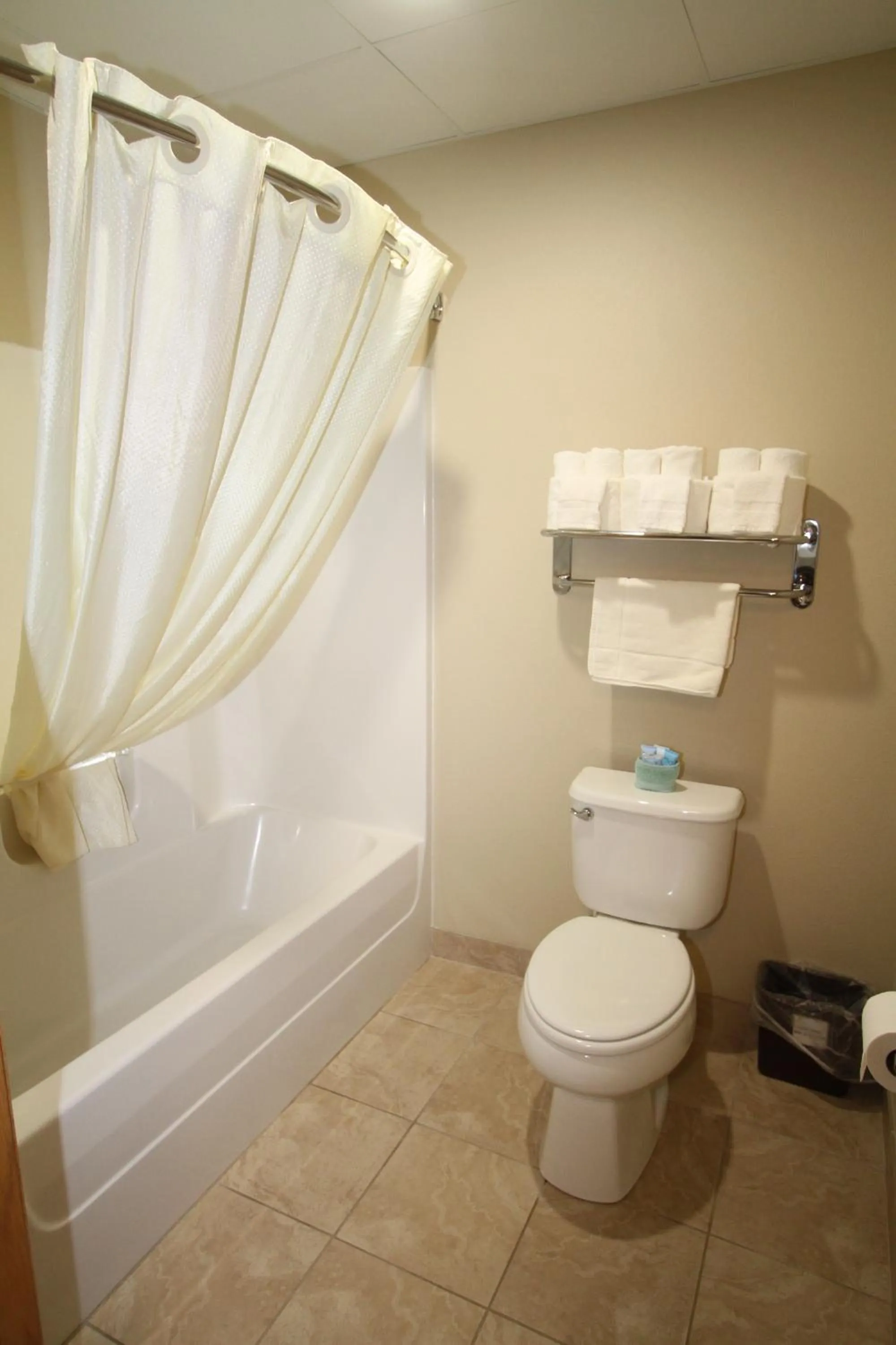 Bathroom in Bowman Inn and Suites