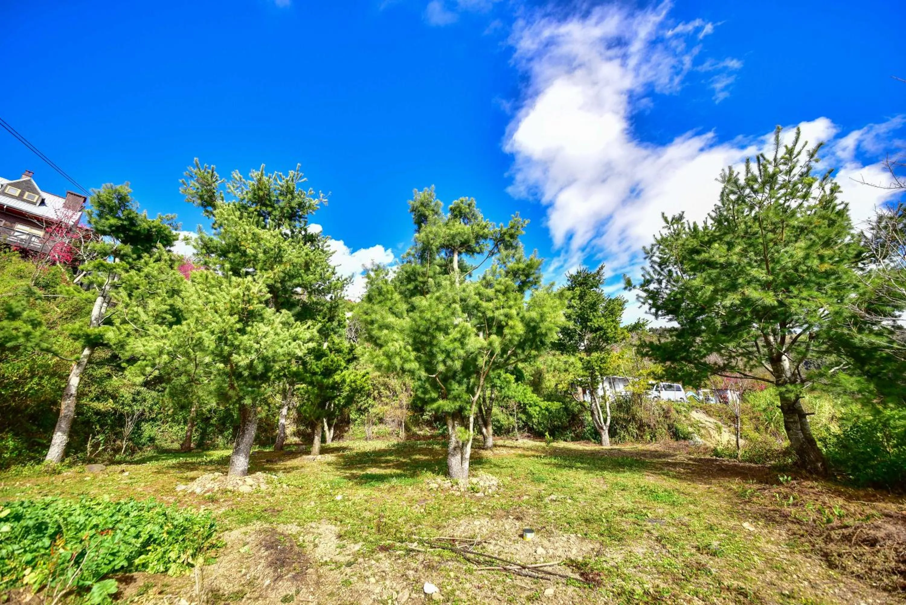 Garden view in Beverly B&B