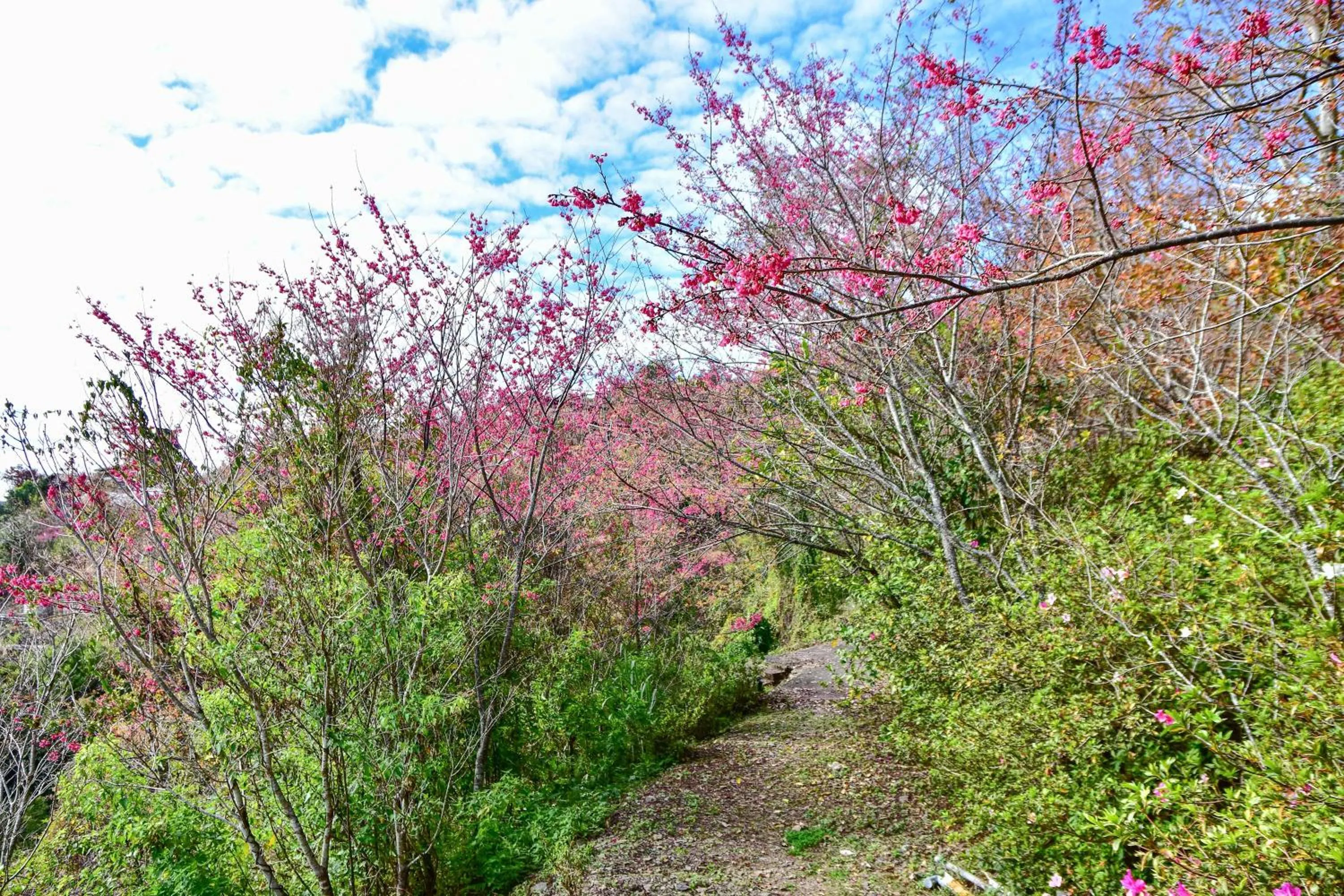 Garden in Beverly B&B
