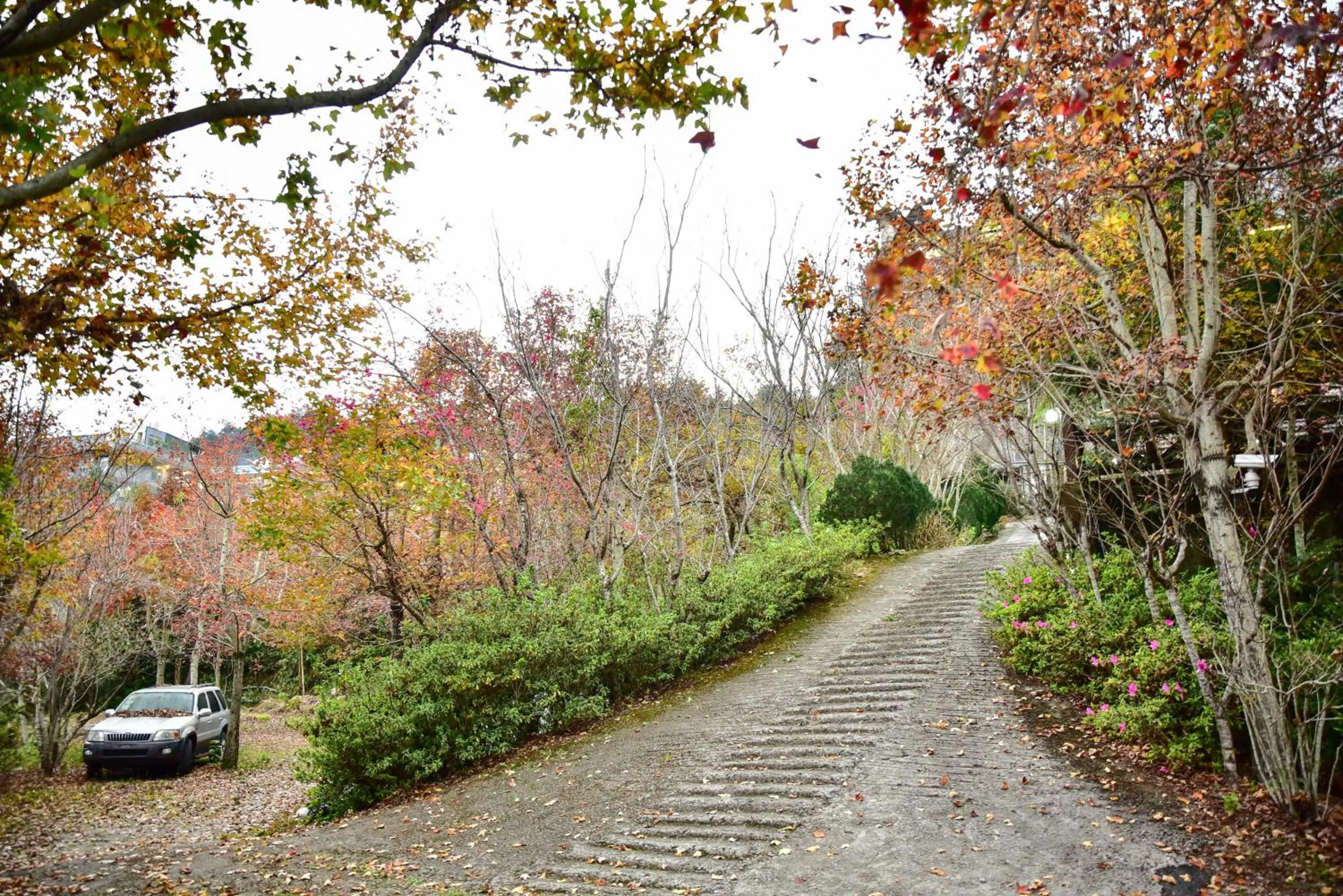 Garden in Beverly B&B