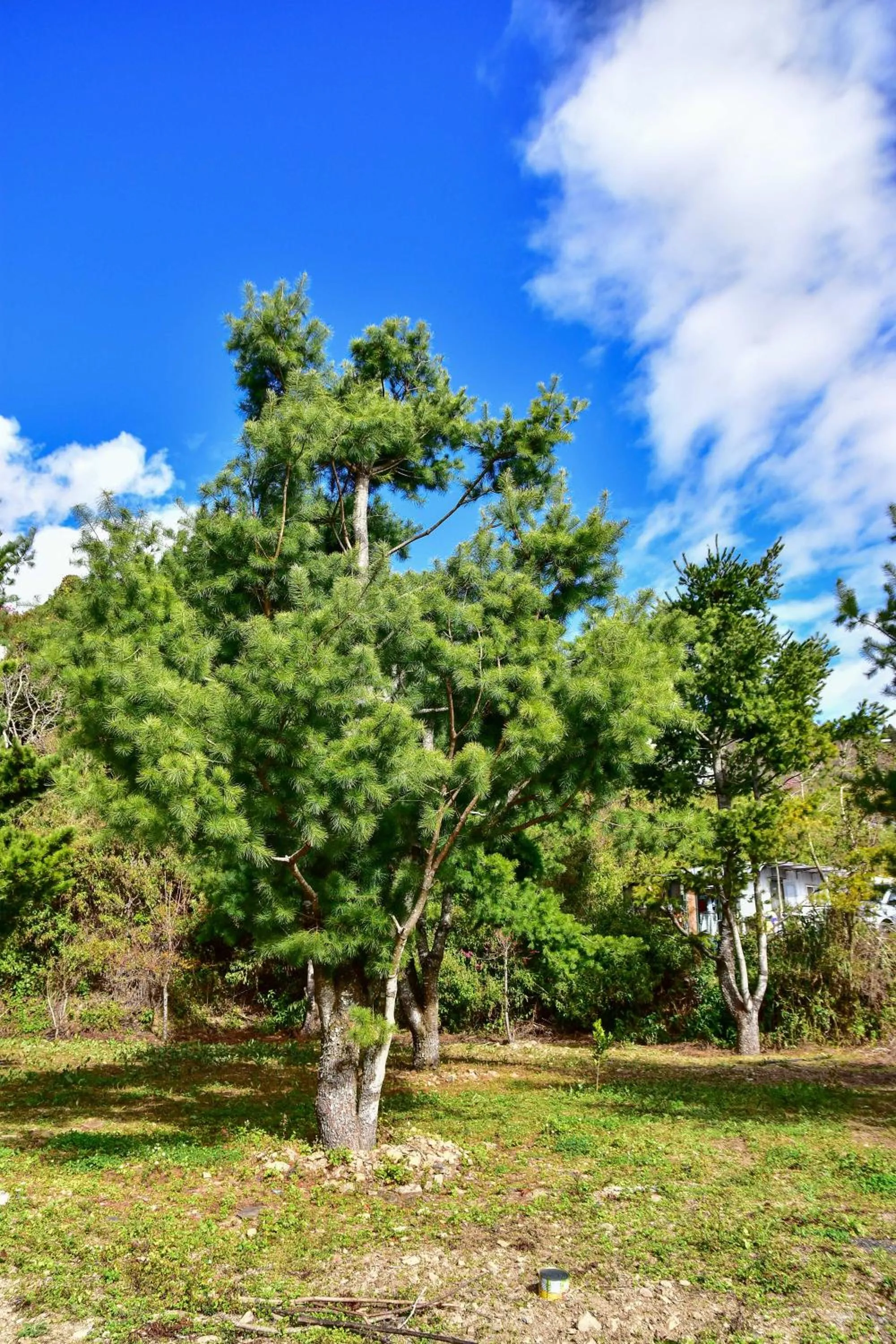 Garden in Beverly B&B